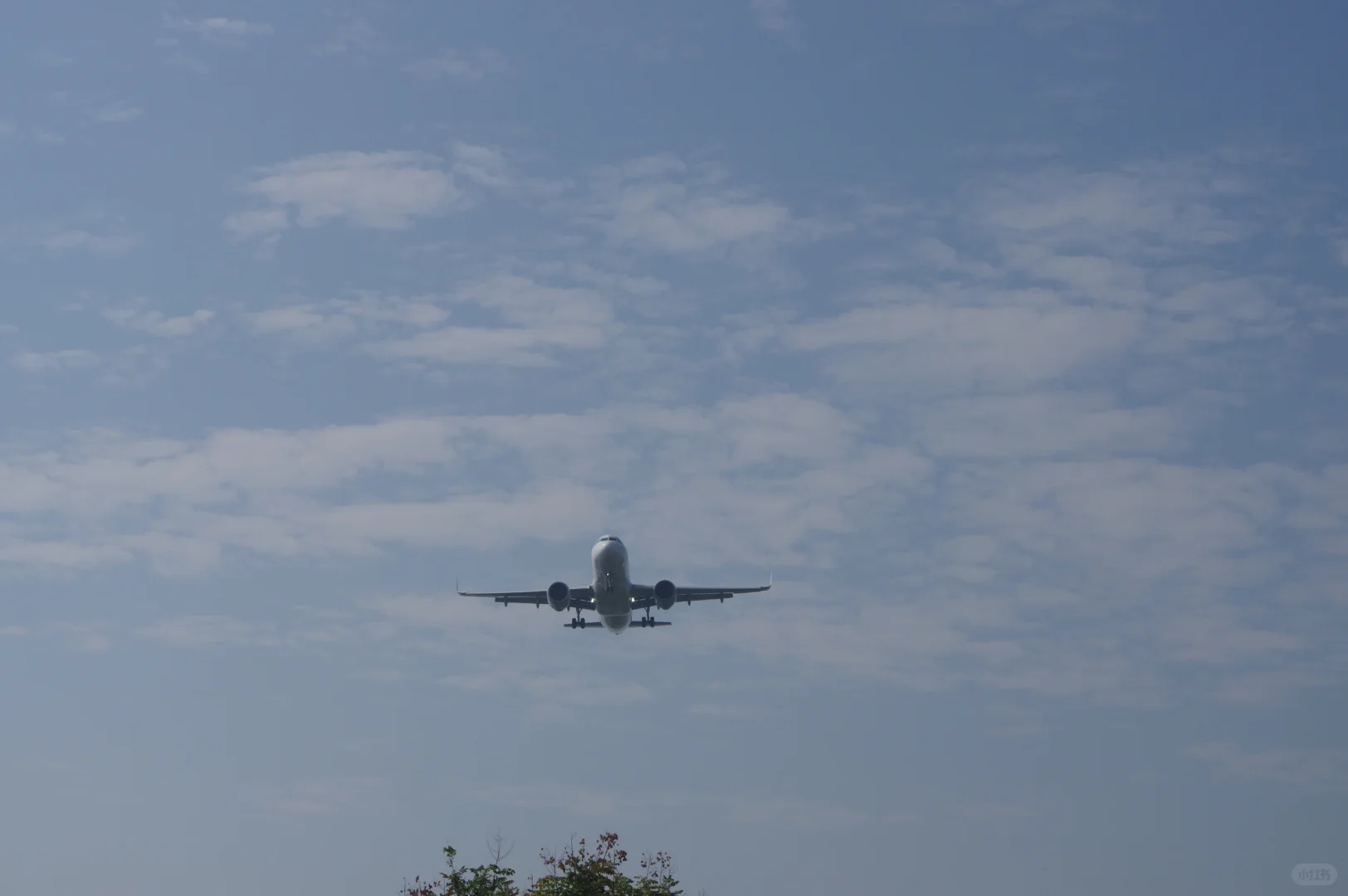 超宽体机降落确实带风