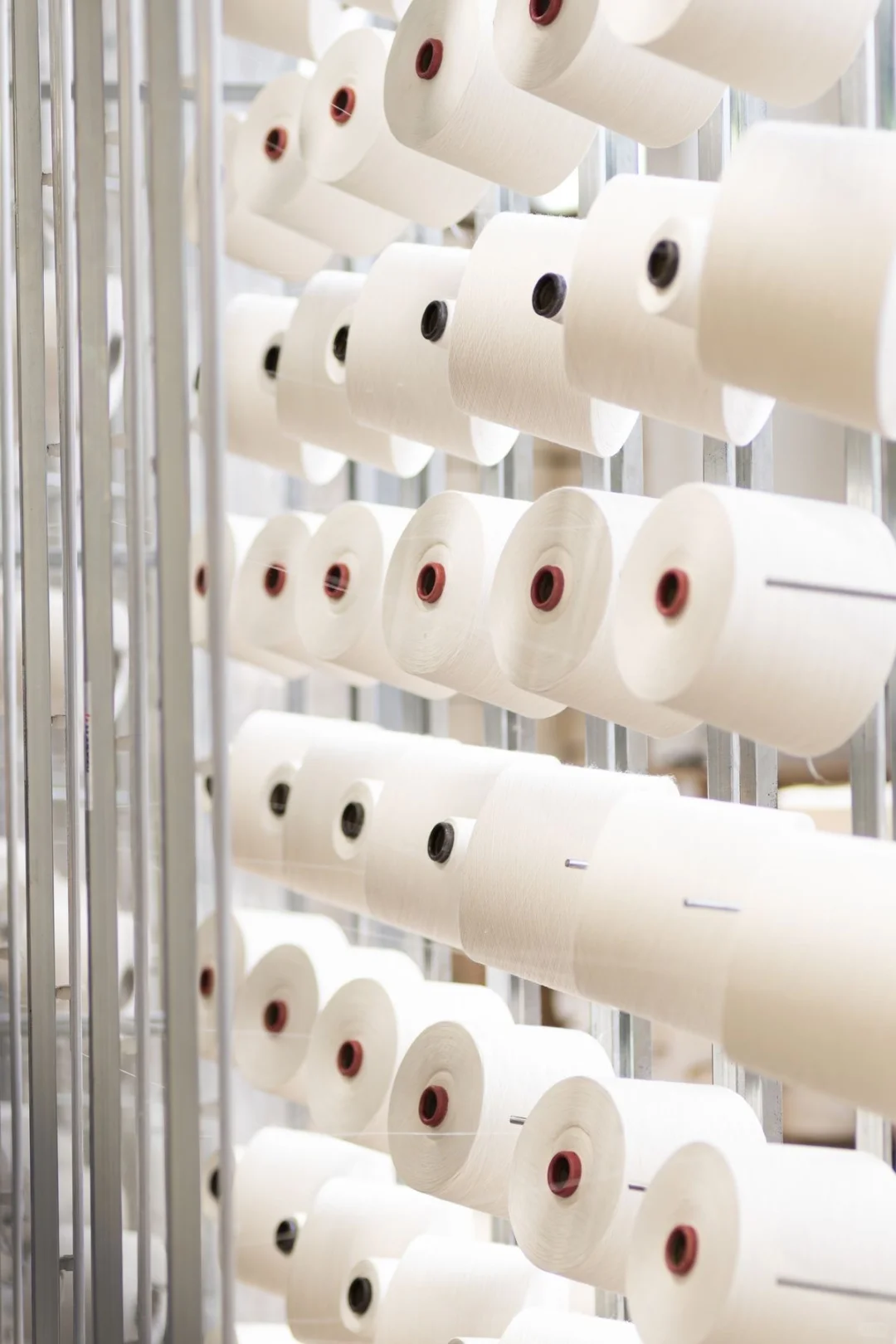 20年深耕｜有机彩棉纱线源头厂家