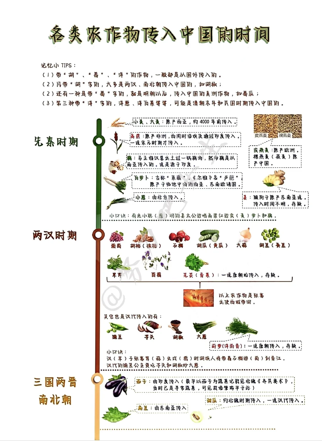 各种农作物传入中国的时间