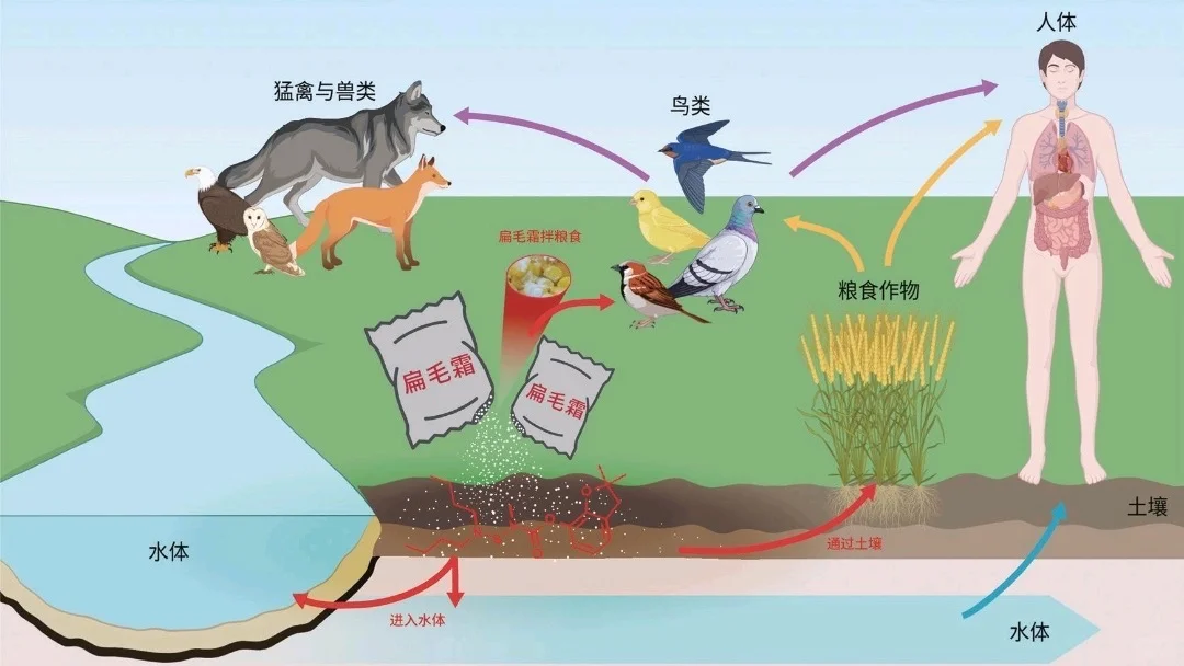 毒鸟药各大平台公然销售，需要你的举报