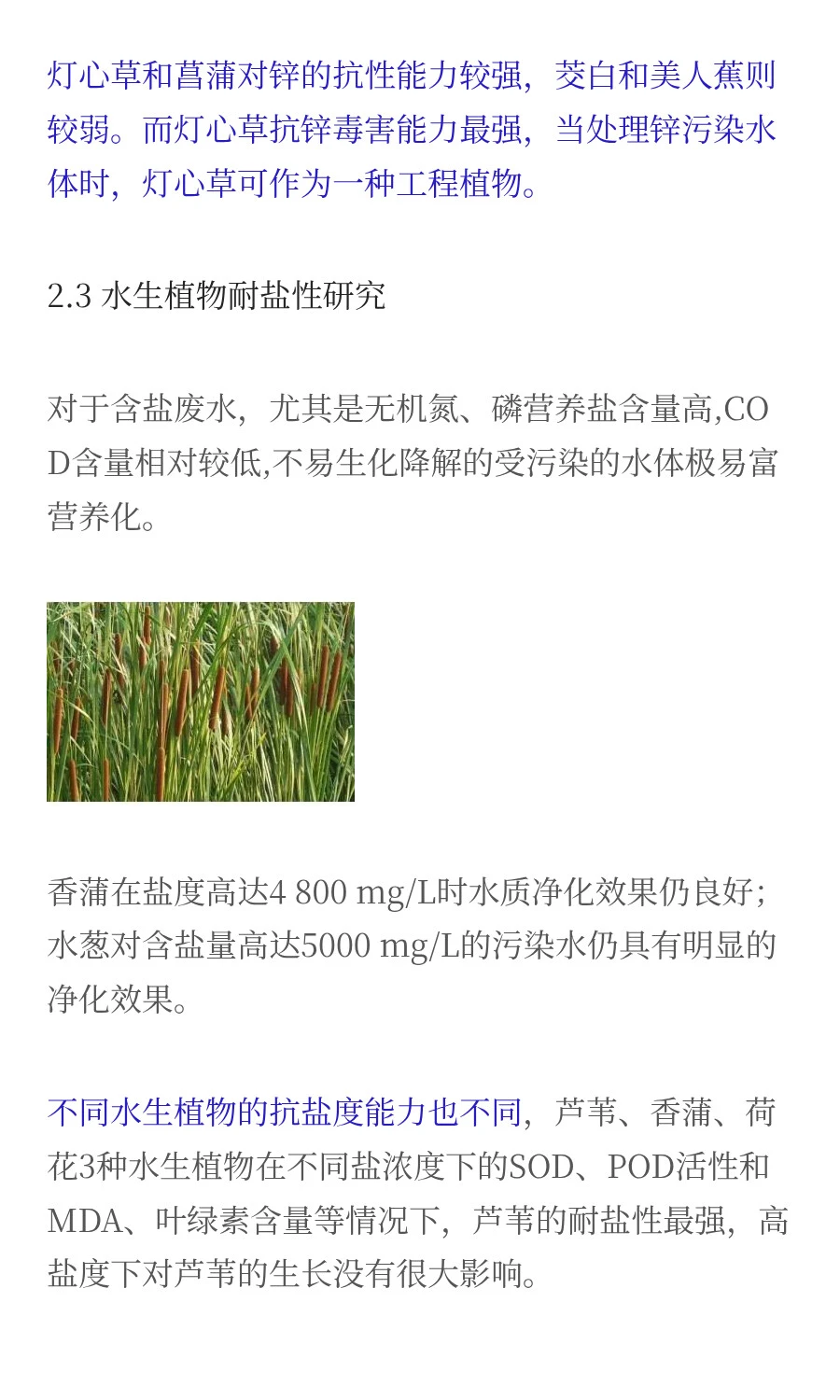 水生植物对污染水体修复的研究进展