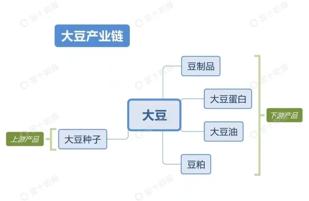 期货农产品板块产业链汇总！