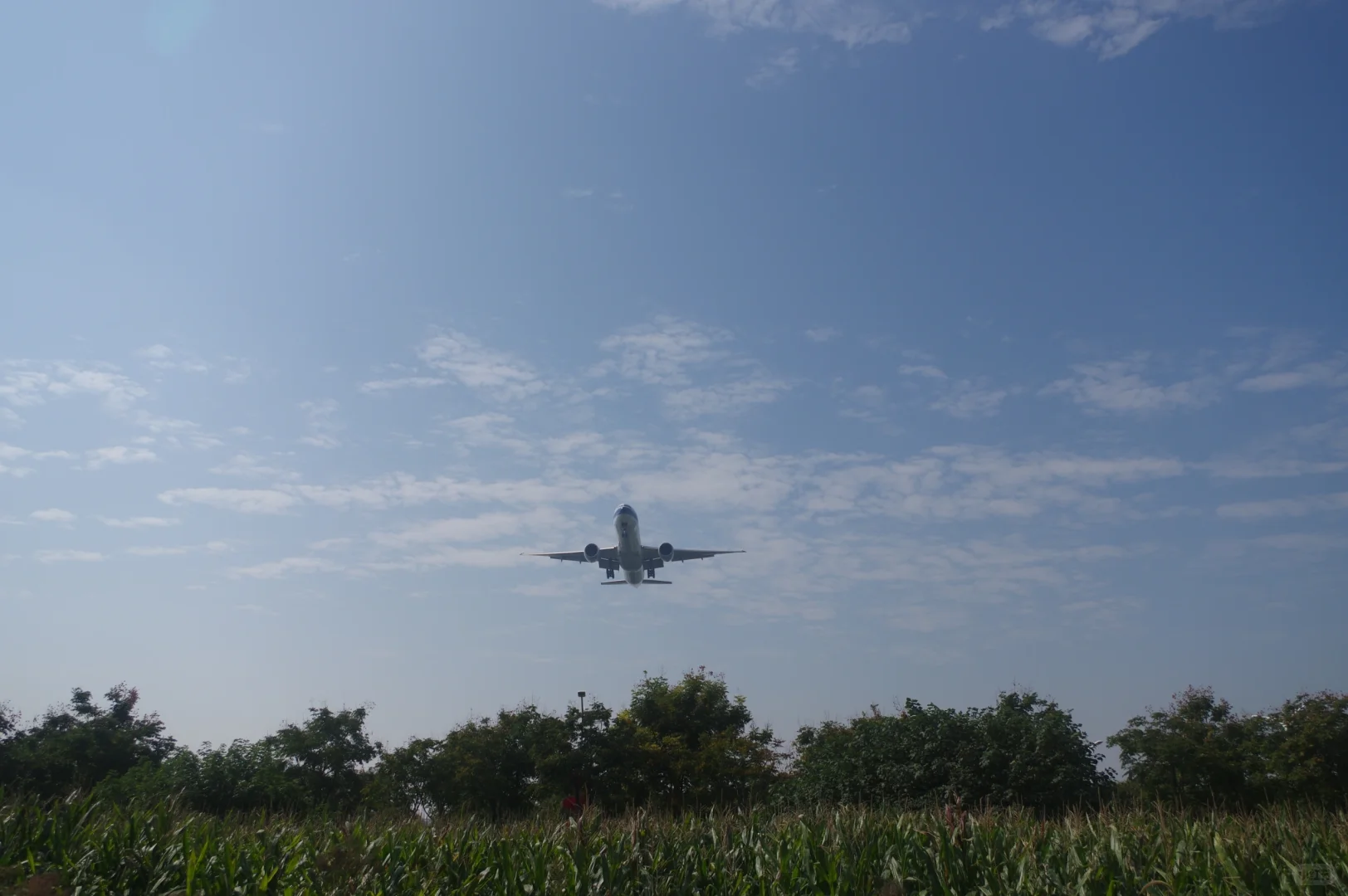 超宽体机降落确实带风