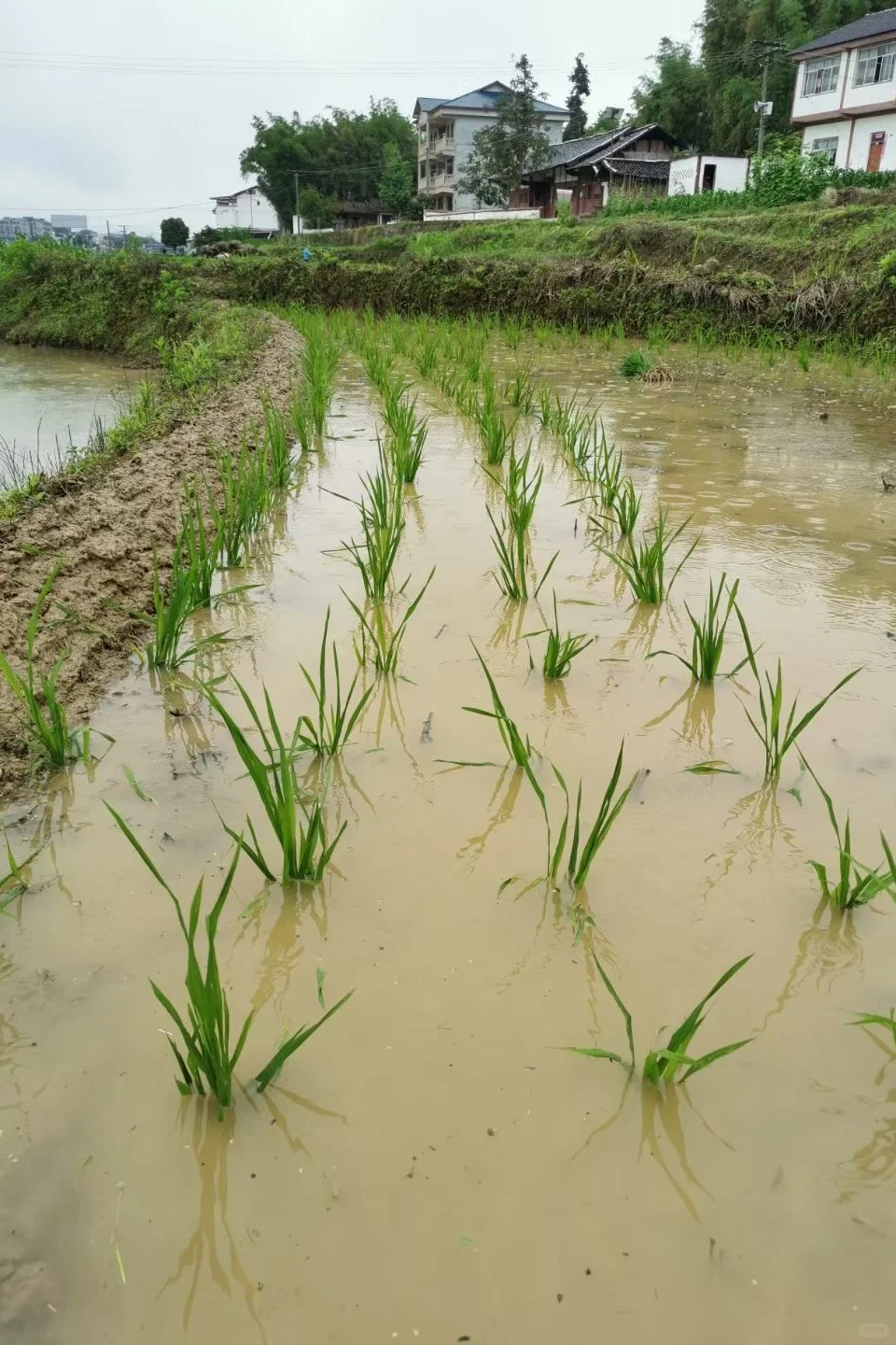 你猜不到这是什么