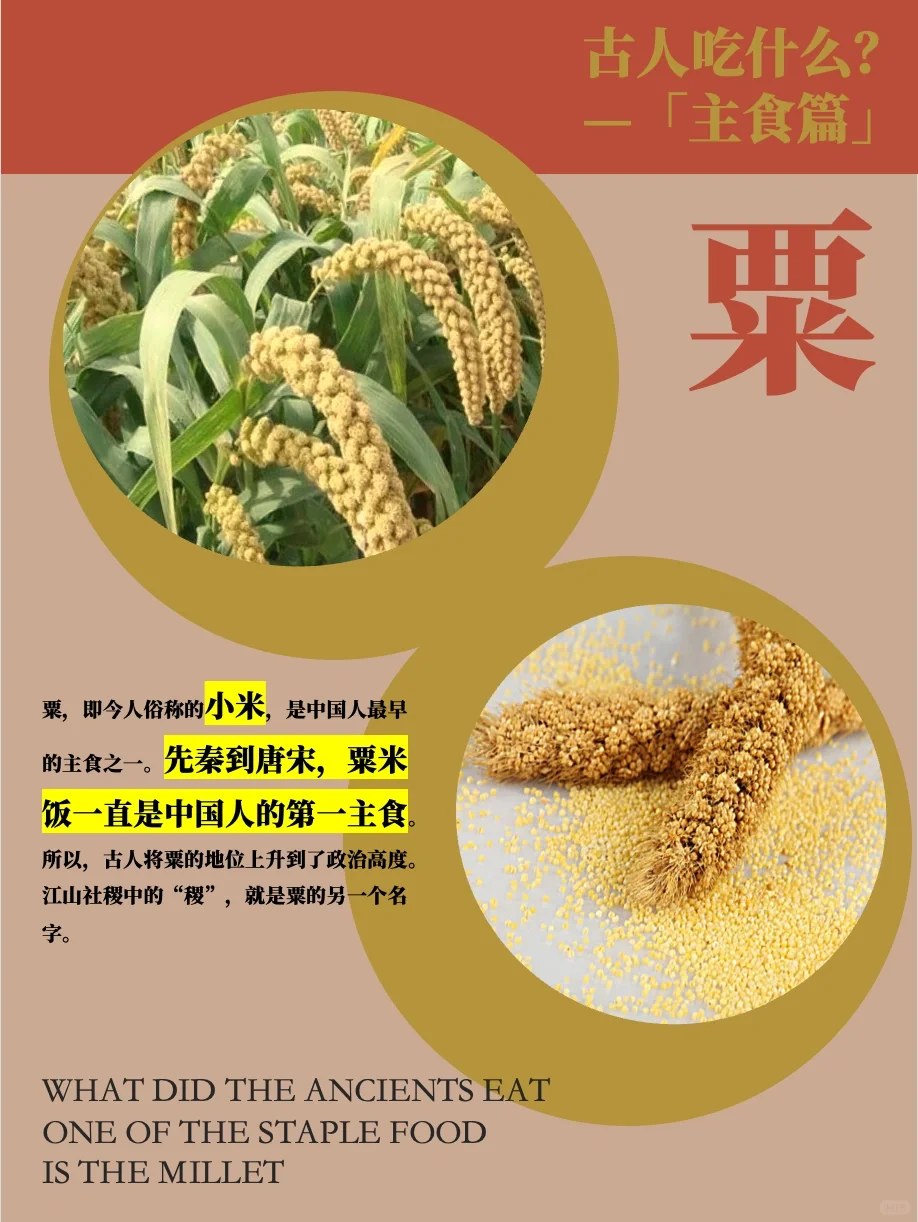 古人吃什么主食？粟、黍、麦、稻、菽！