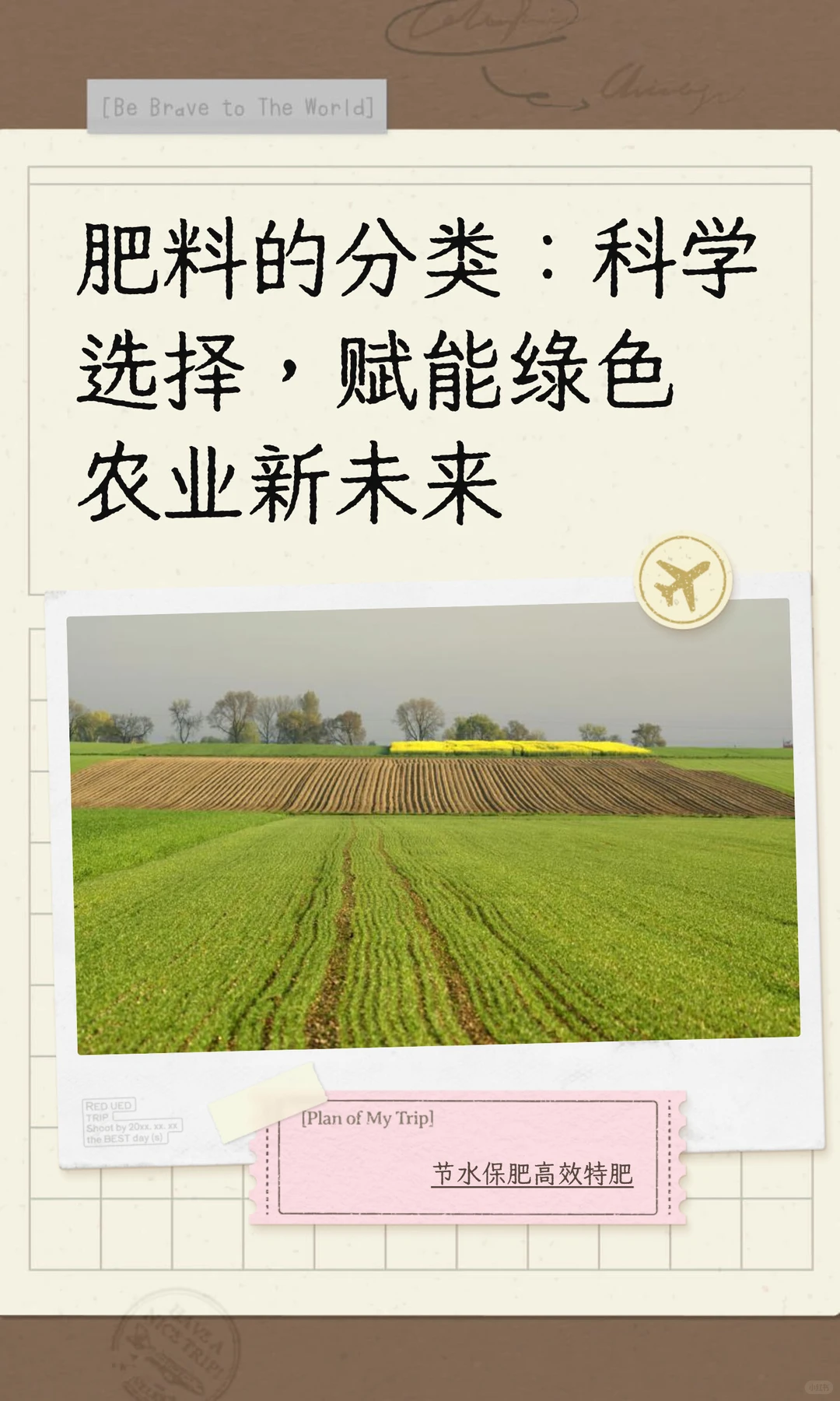 肥料的分类：科学选择，赋能绿色农业新未