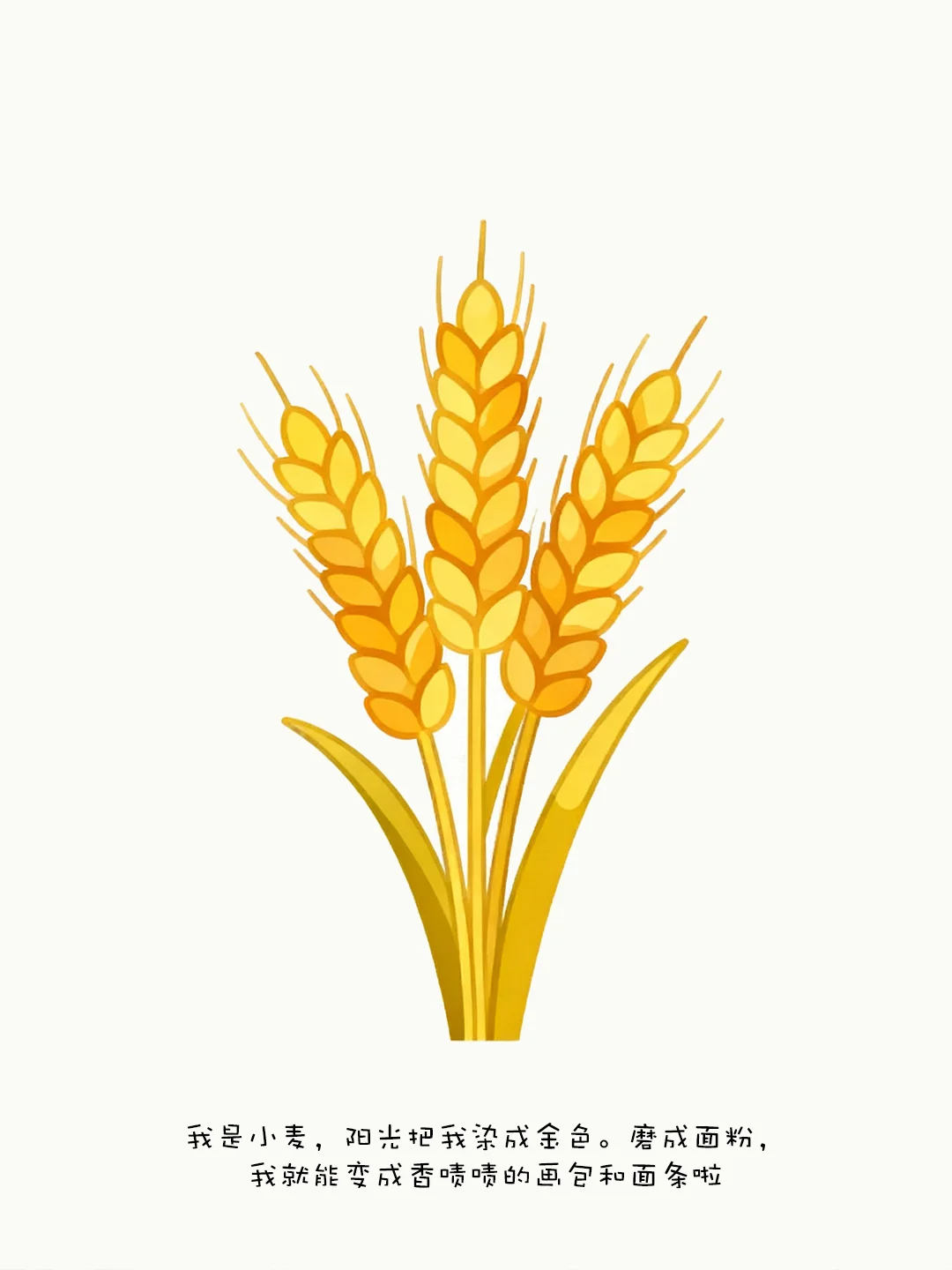 ?五谷豆豆魔法书！宝妈必入！