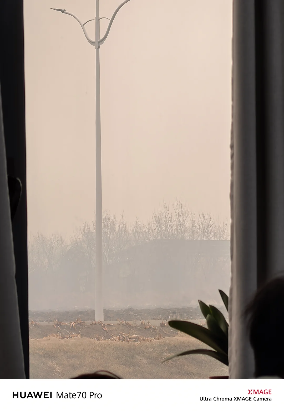 怪不得说东北人吸烟率高呢