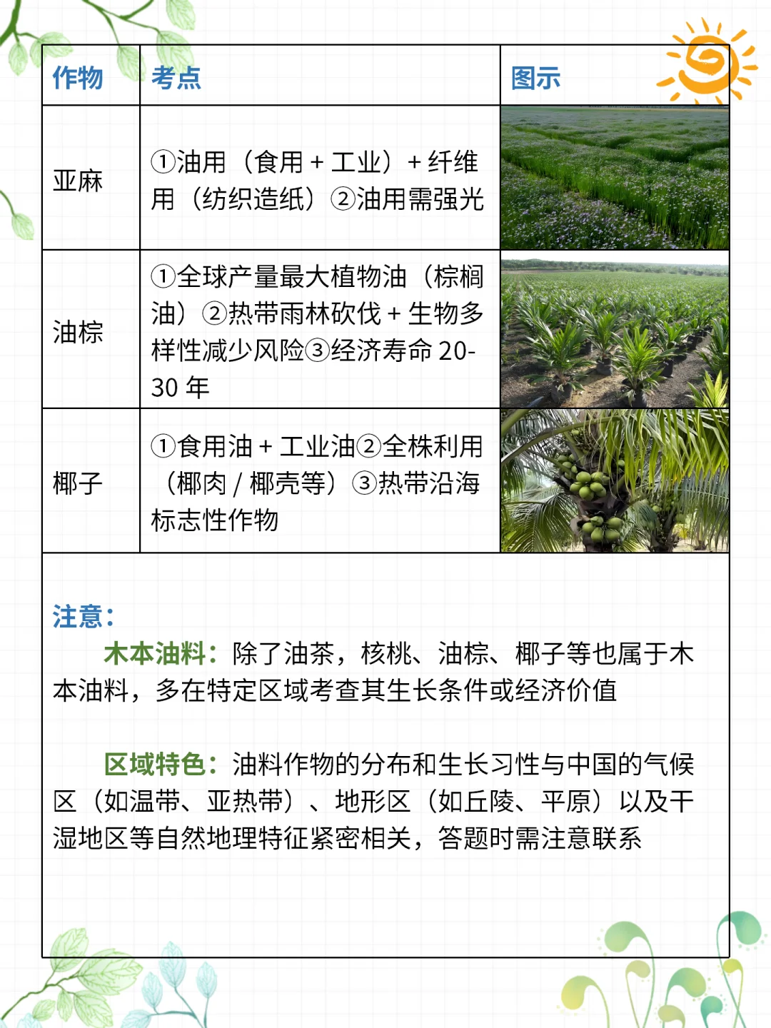 高考地理 | 常考油料作物大盘点