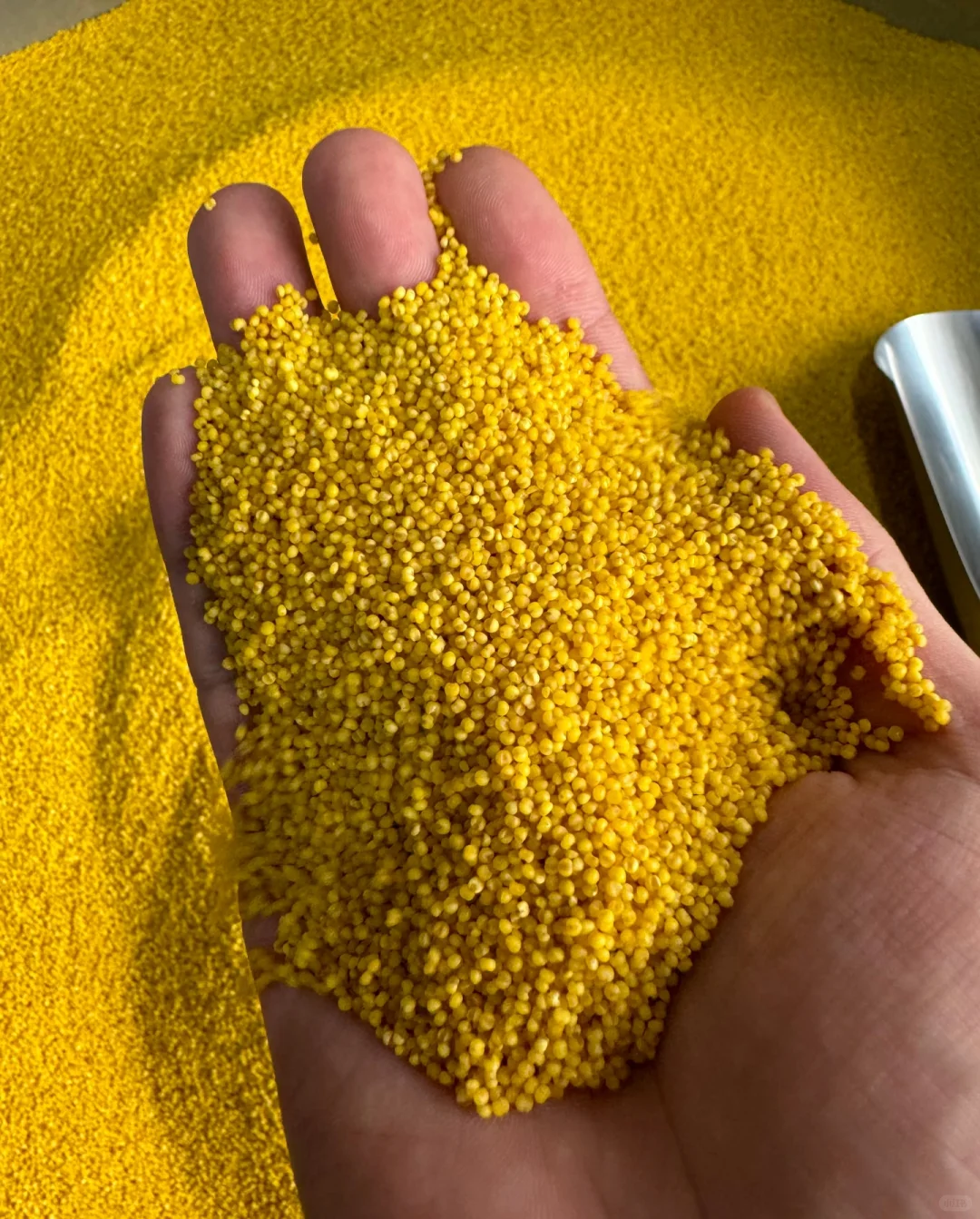 自家种的香谷米米油就是好喝！