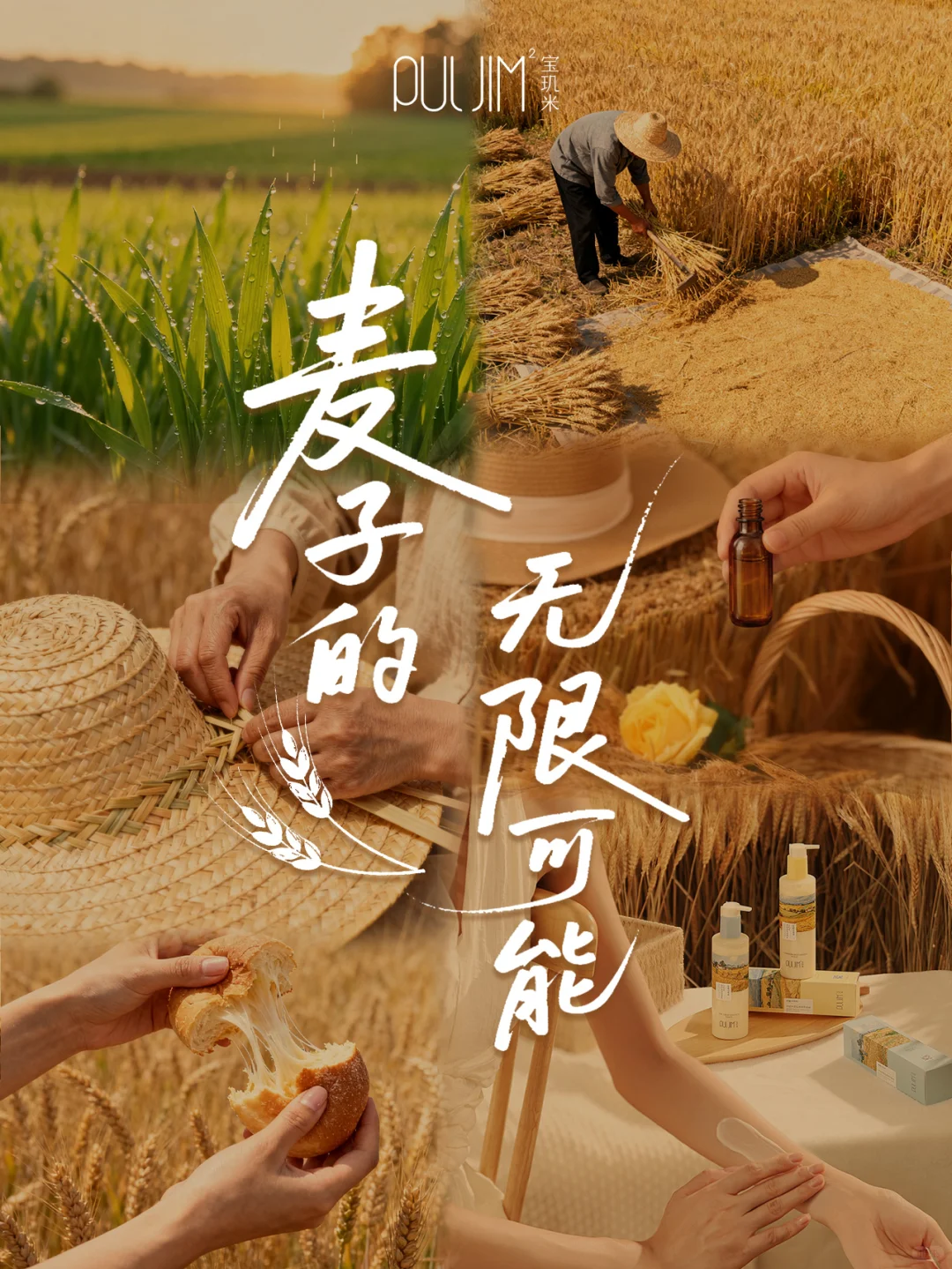 麦子的无限可能