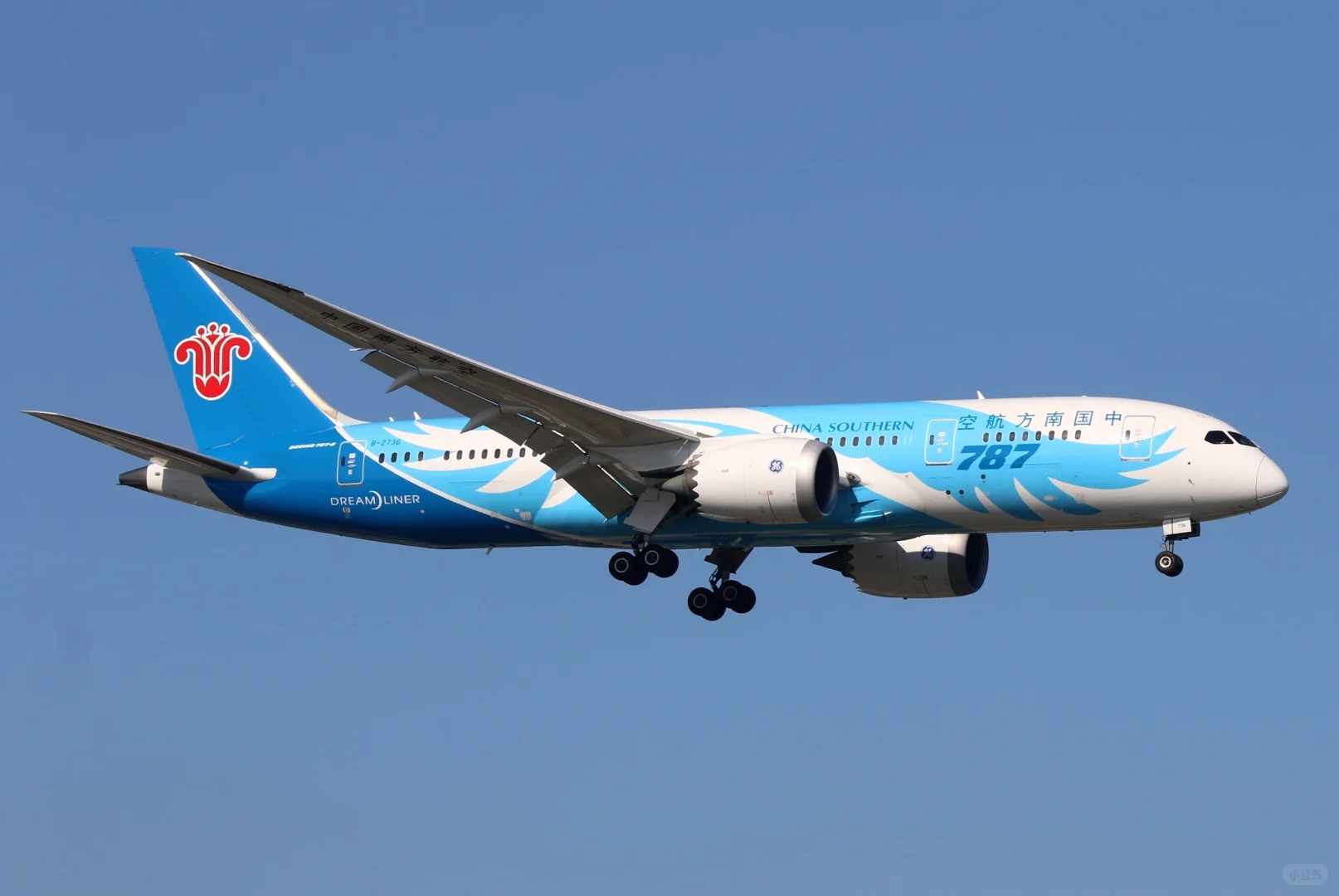 虹桥机场拍宽体