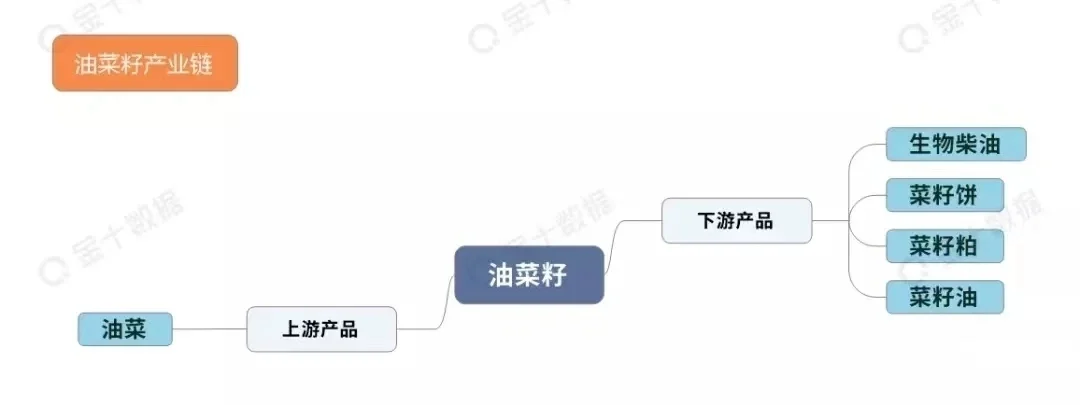 期货农产品板块产业链汇总！