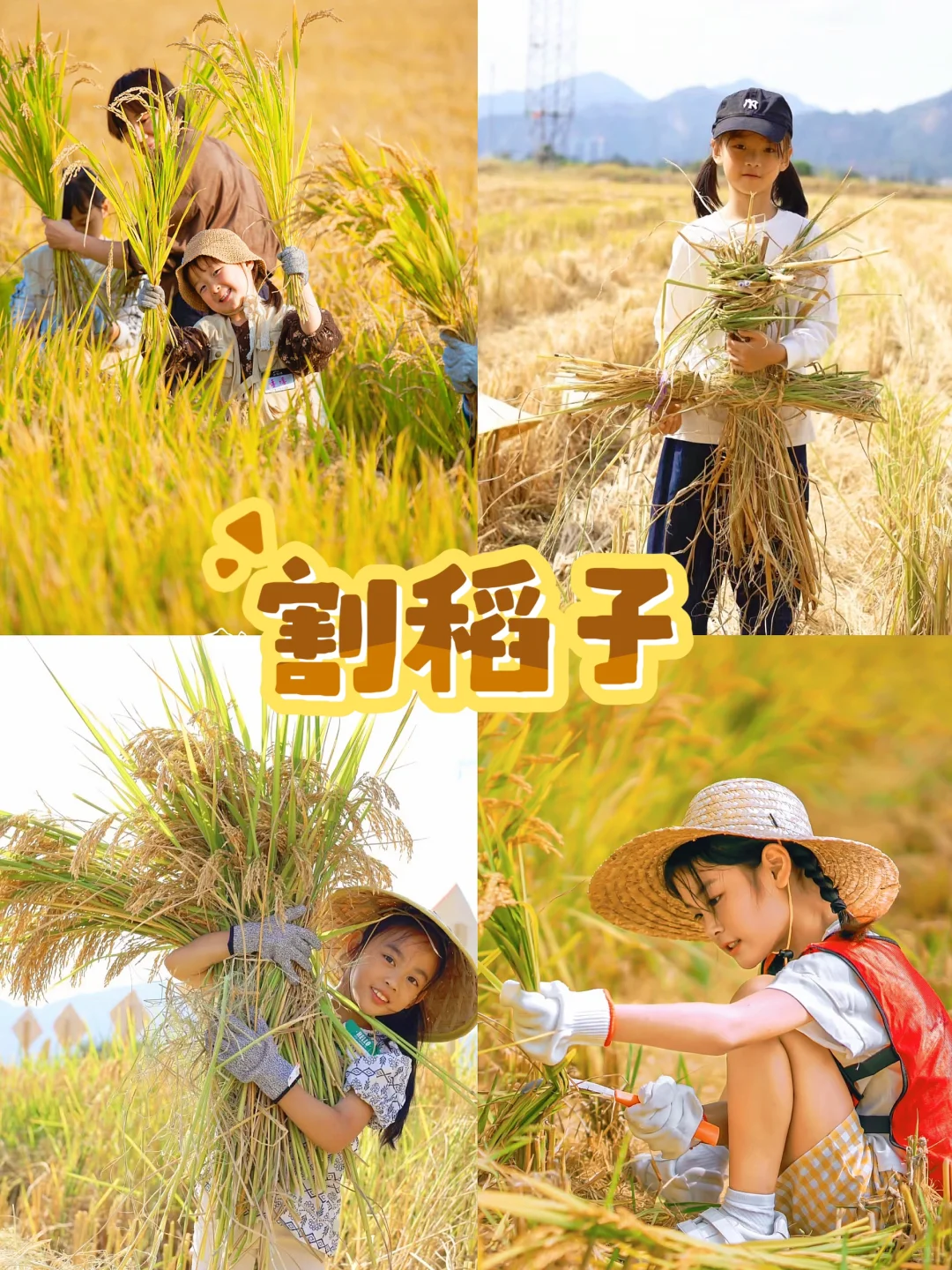 杭州秋季亲子活动‼️带娃打卡12项农事体验?