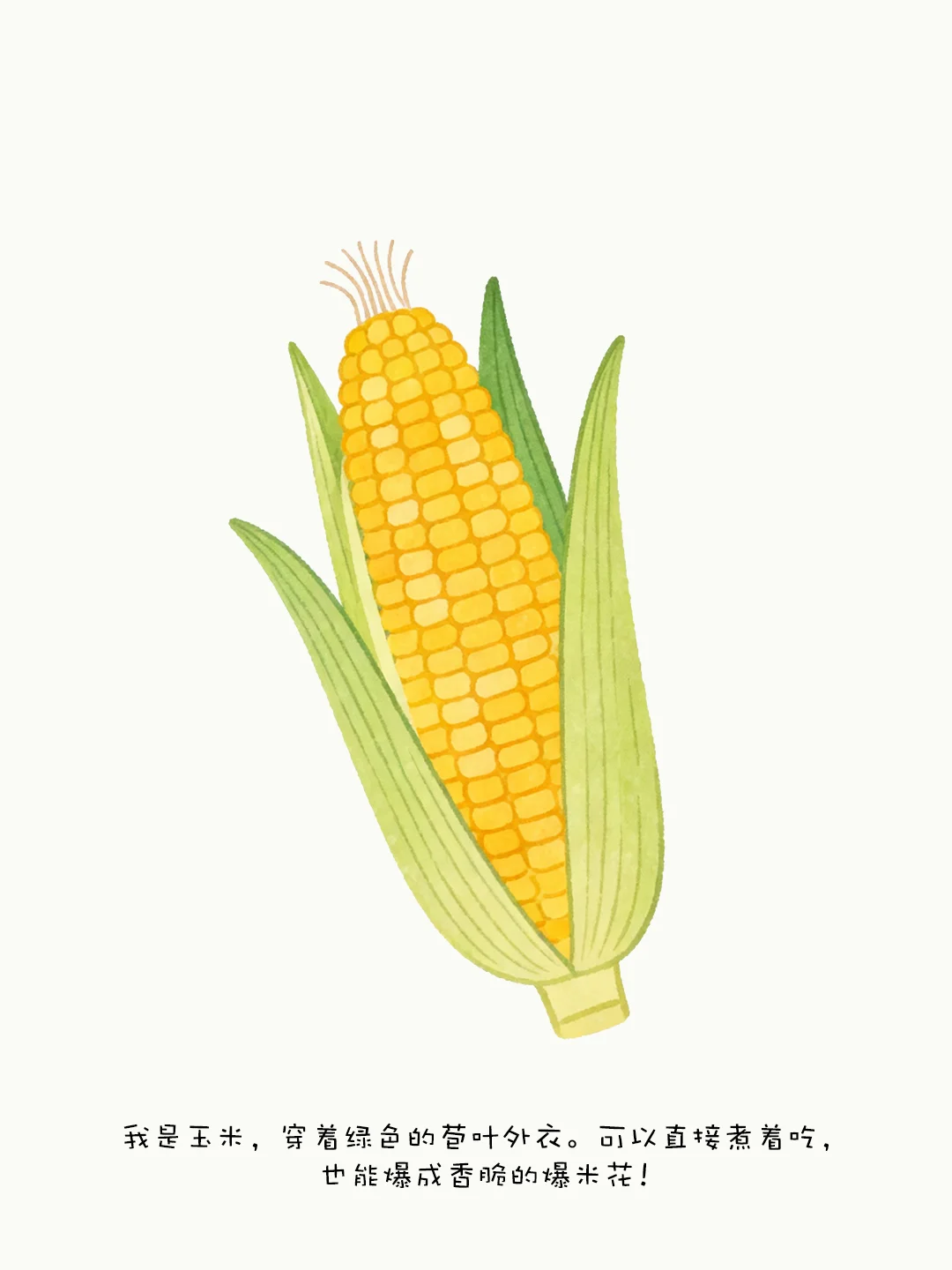 ?五谷豆豆魔法书！宝妈必入！