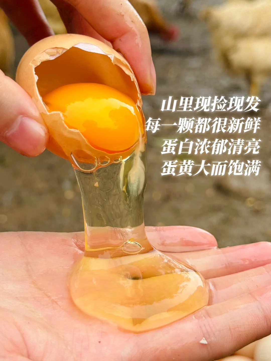 别不信,就是自家万亩生态农场的土鸡蛋
