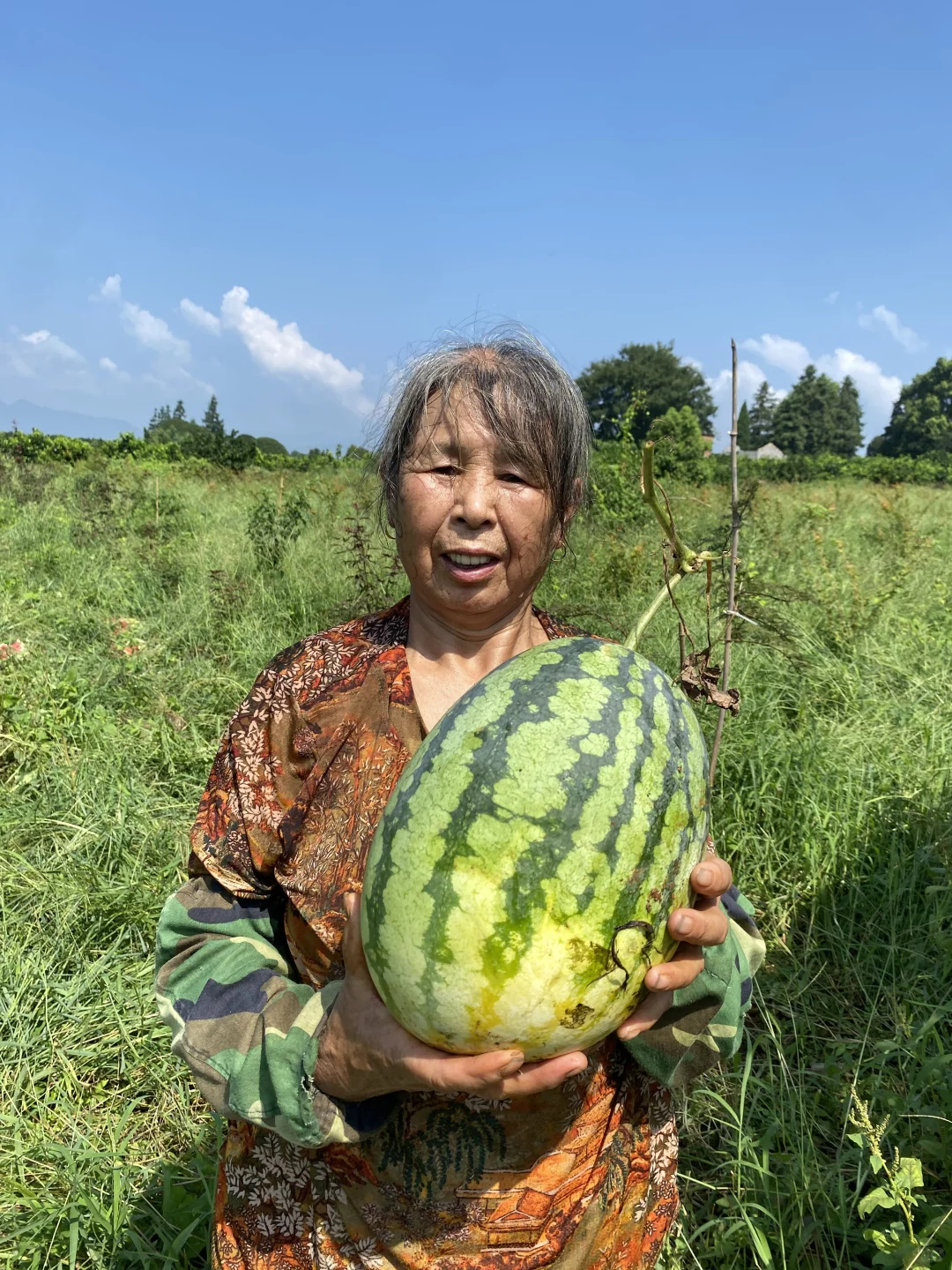 力源助农增收,西瓜甜满人间!买一个西瓜