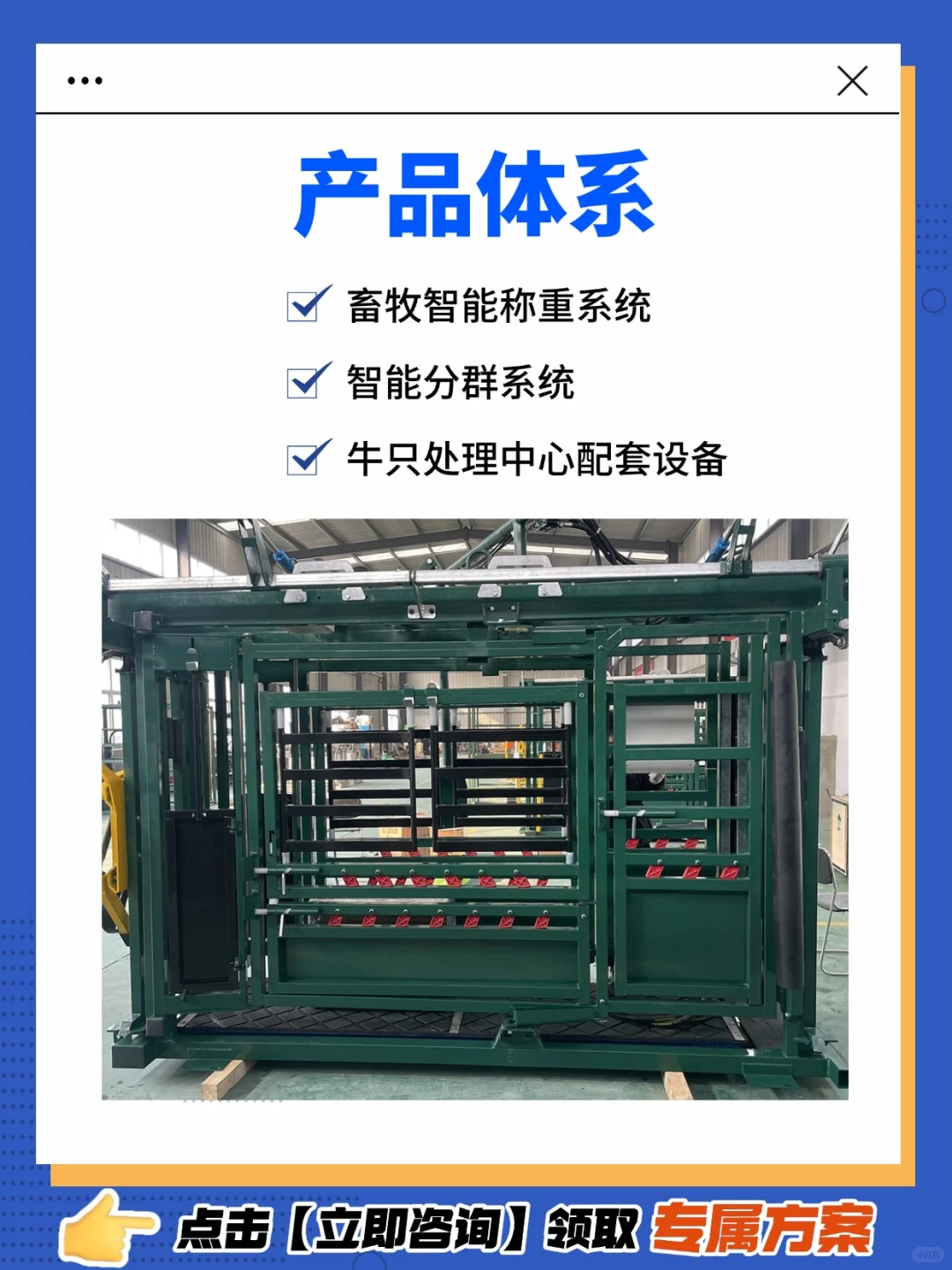 郑州邦茂|智能称重系统,助力畜牧管理升级