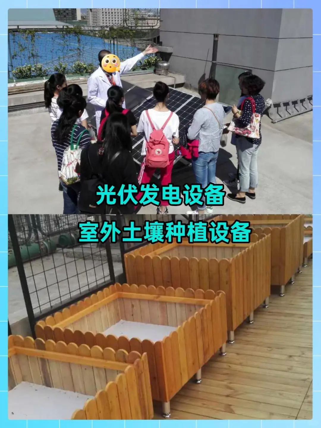 实验楼顶居然打造成了校园农场