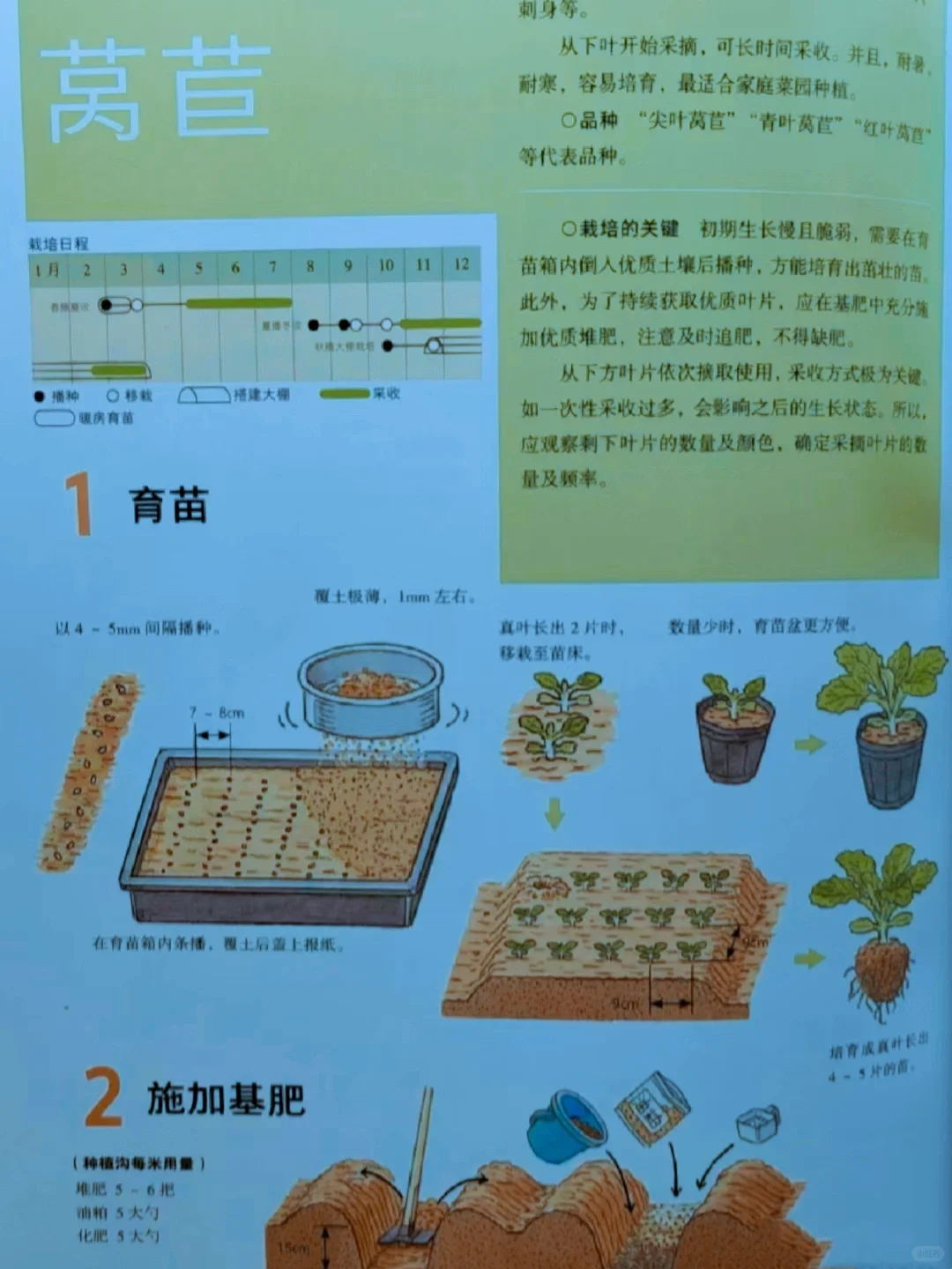 网文素材?常见农作物蔬菜生长周期?