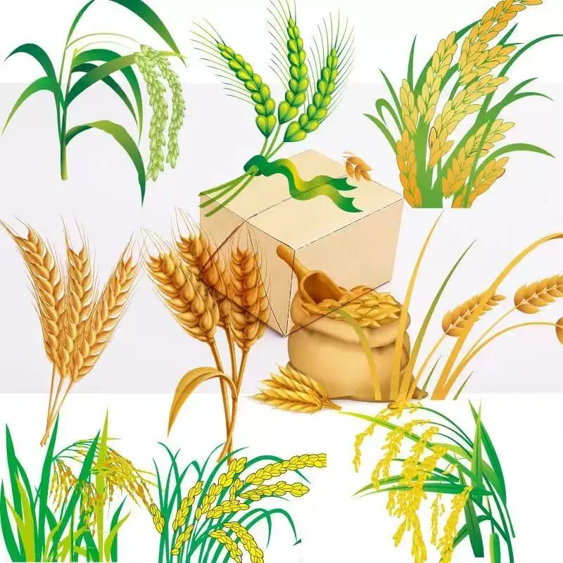 ?农作物丰收 AI 绘图素材大放送！