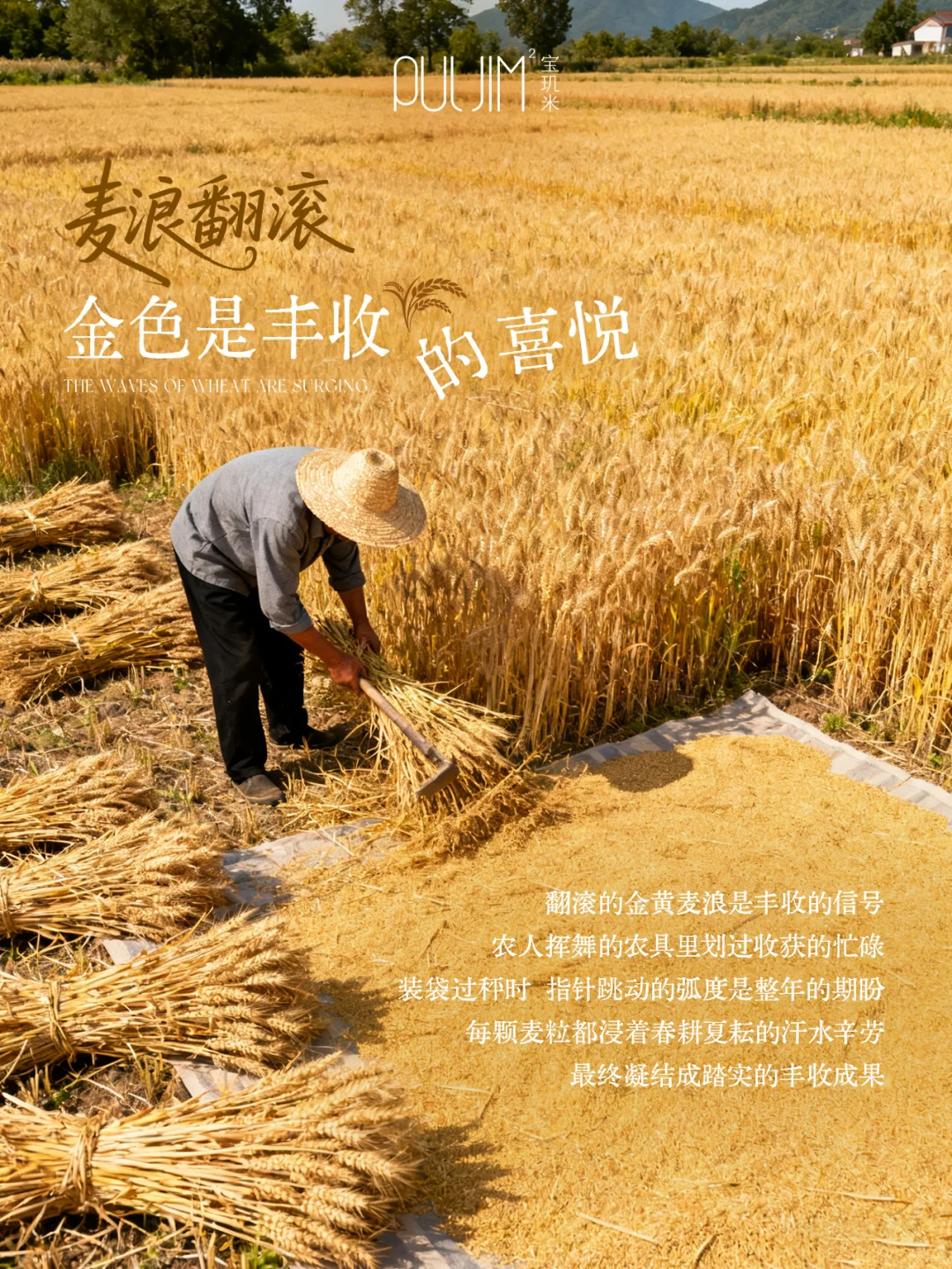 麦子的无限可能