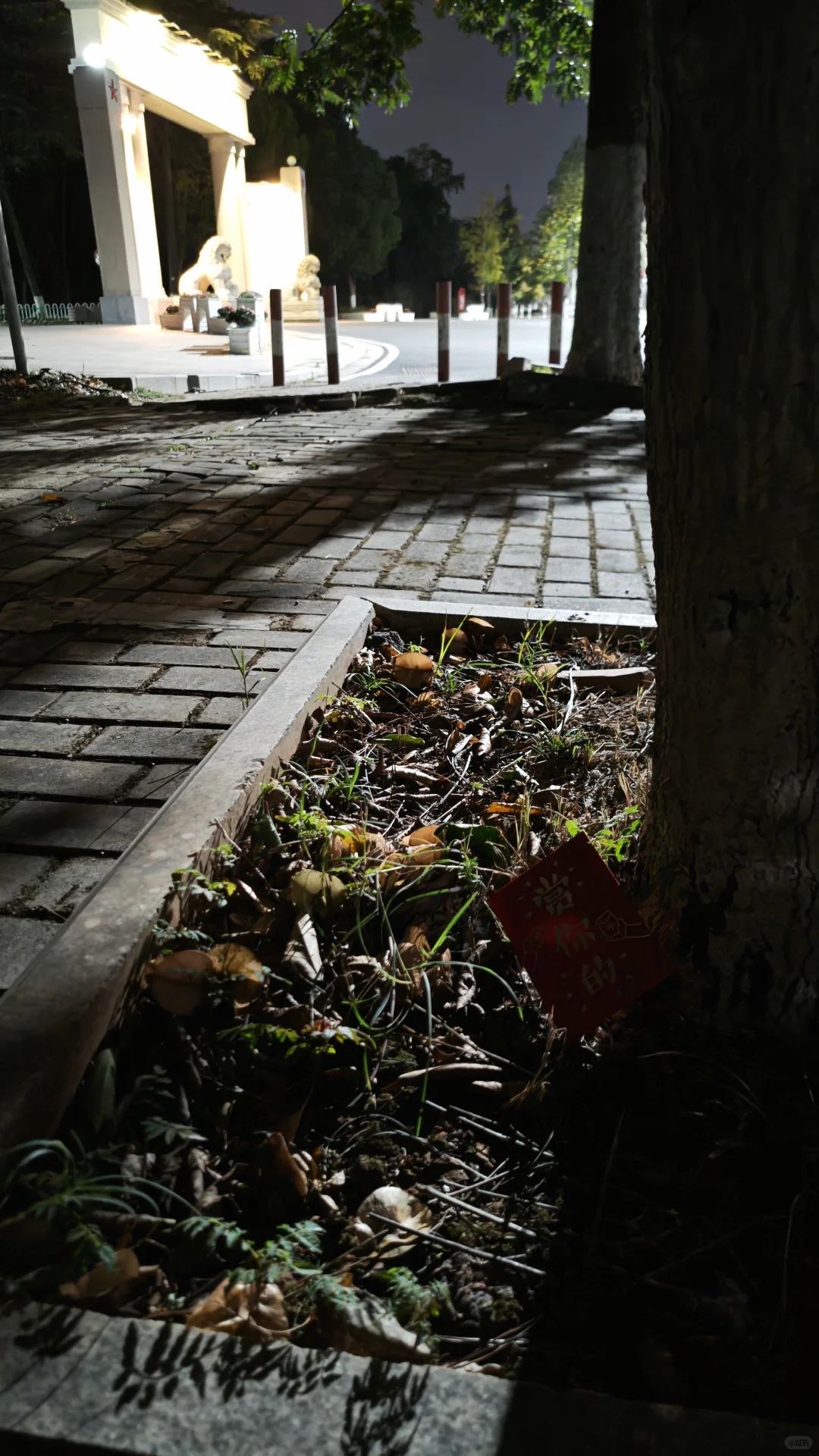 江西农业大学校园藏宝第二天