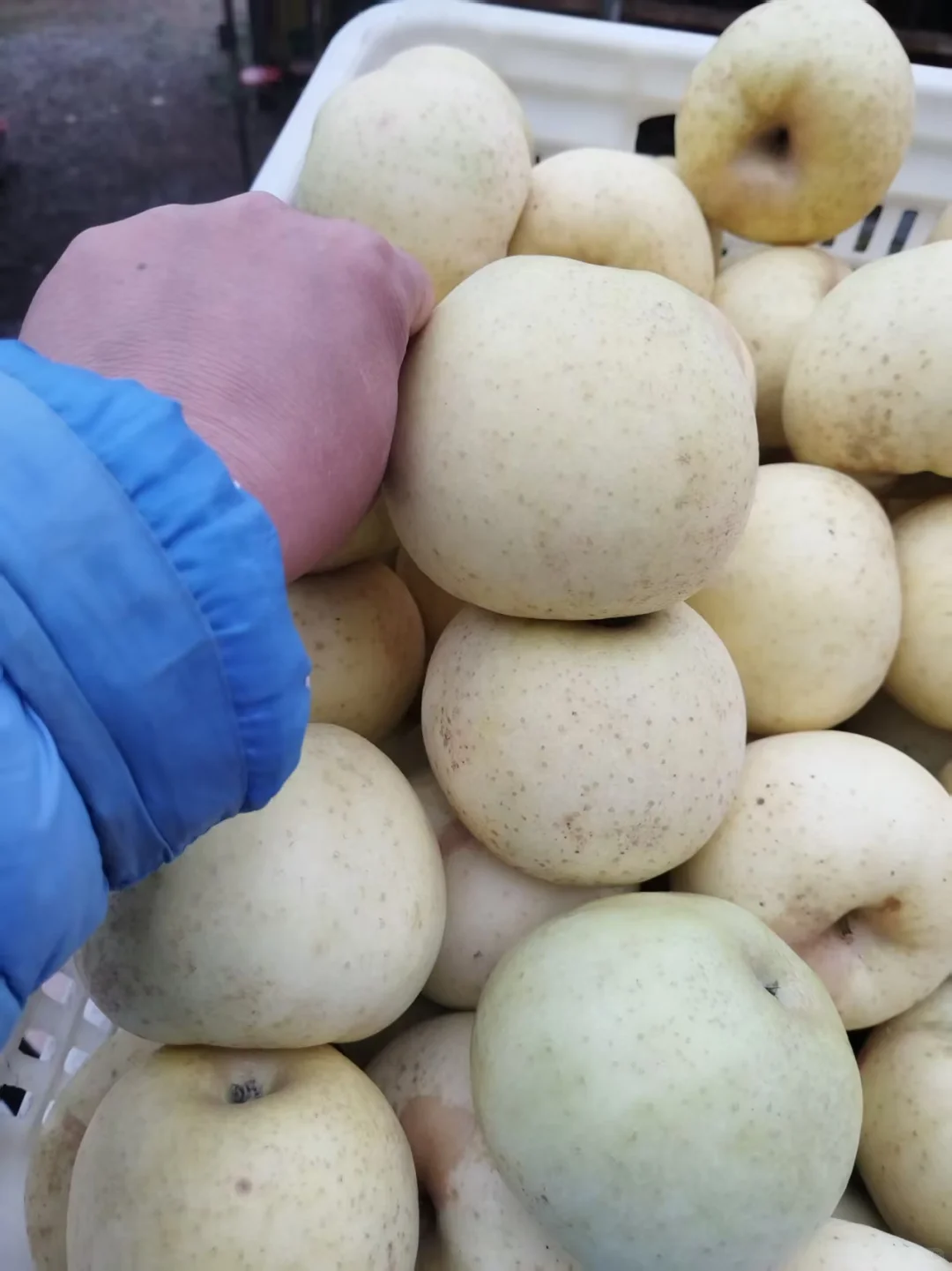 谁说北京秋冬只能逛公园？来昌平苹果小镇！