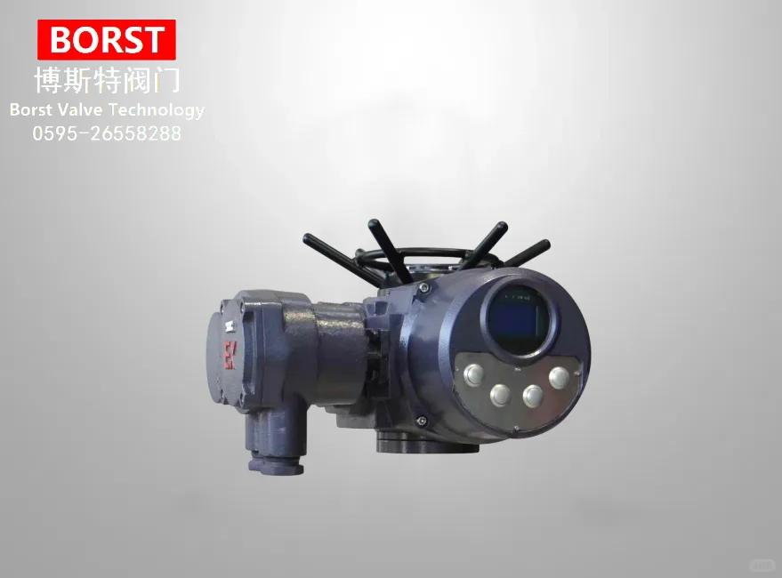 BORST多回转电动执行器介绍-博斯特阀门