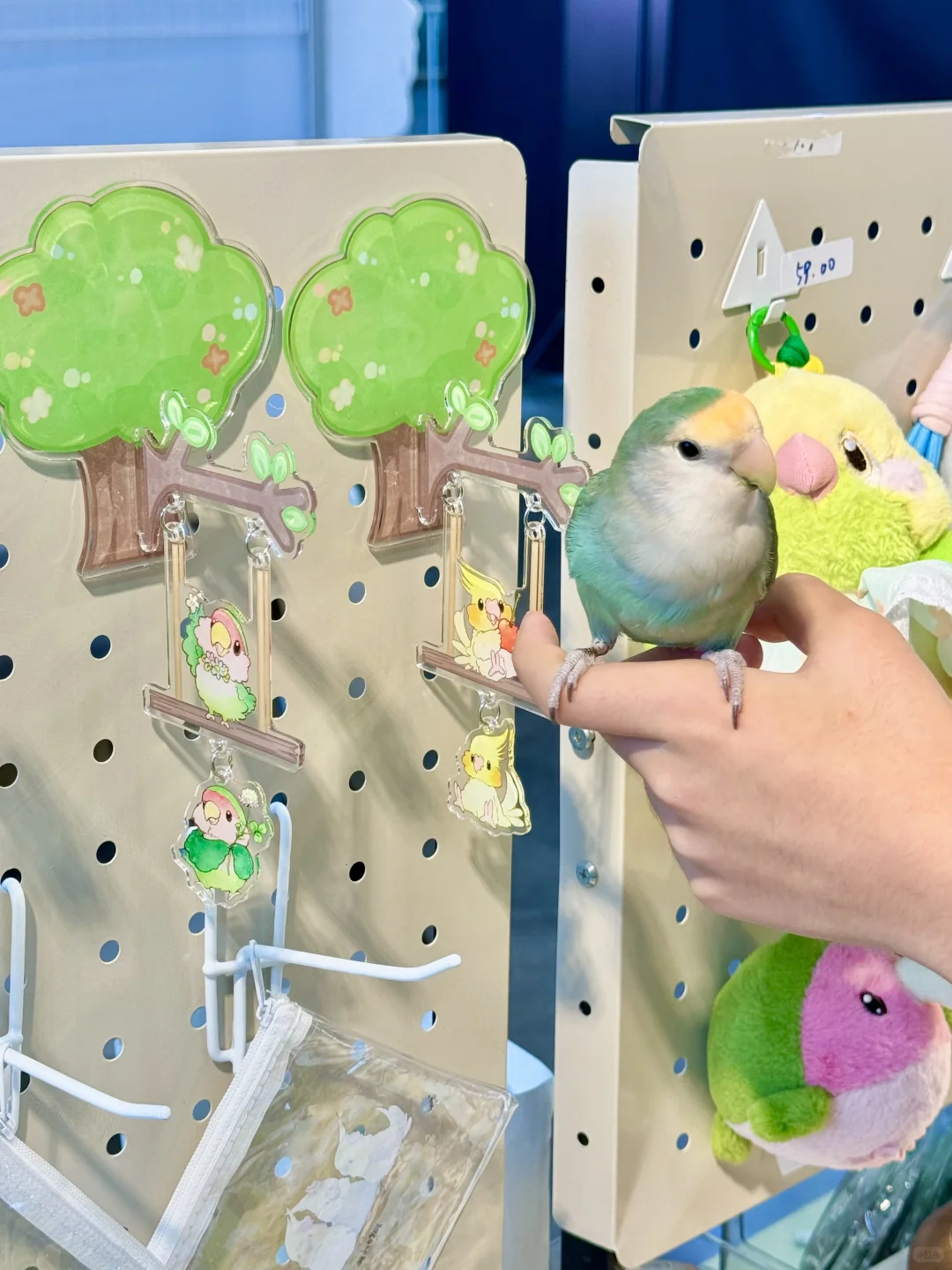 南京宠物博览会｜感谢各位鸟宝们光顾?