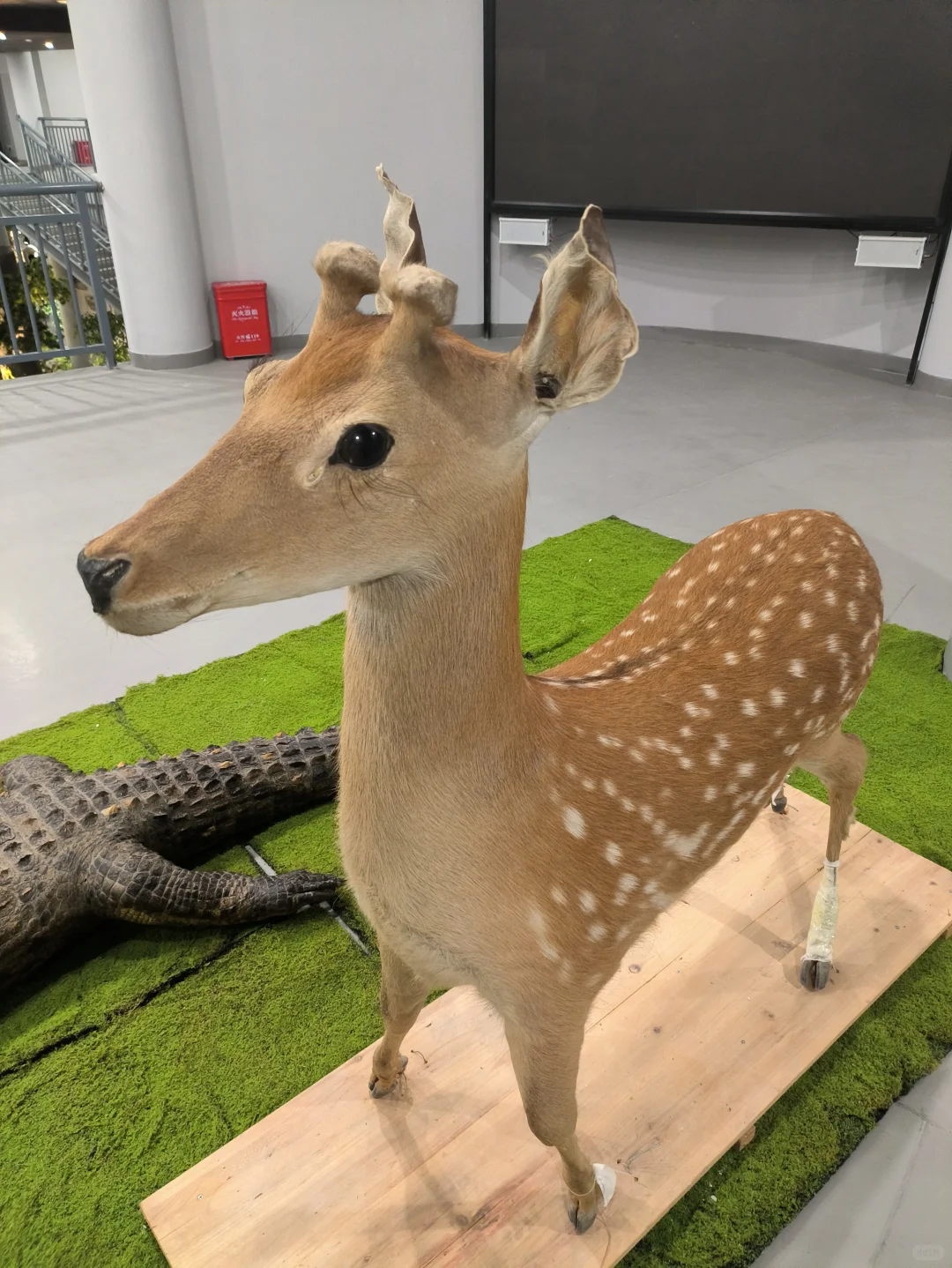 学林业的女人一生也该结四次婚～