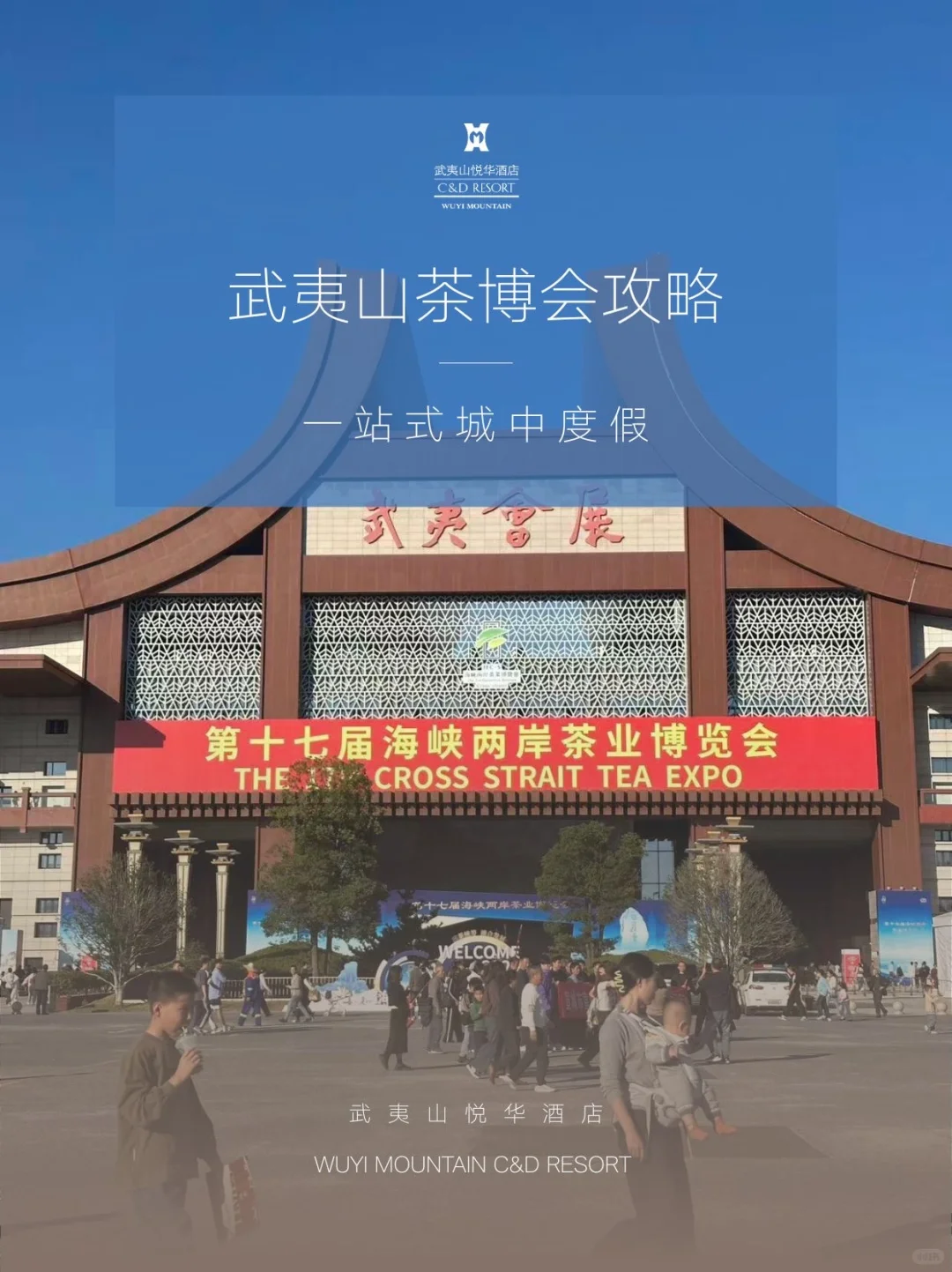 2025武夷山茶博会攻略