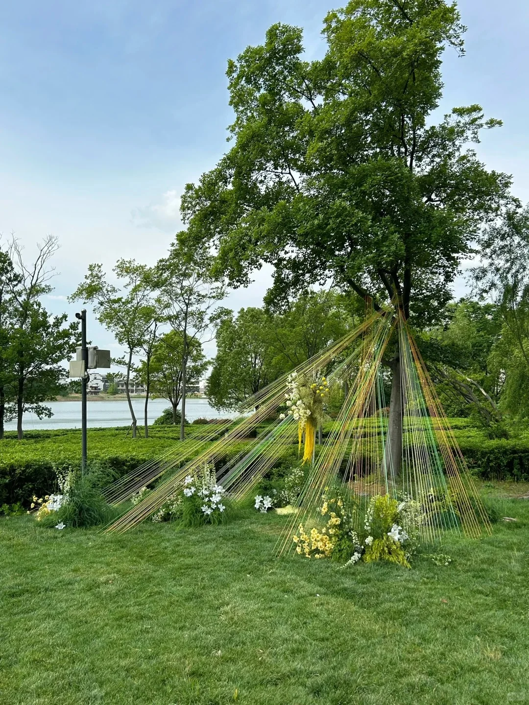 草坪婚礼布置|户外果蔬婚礼|韩系户外婚礼