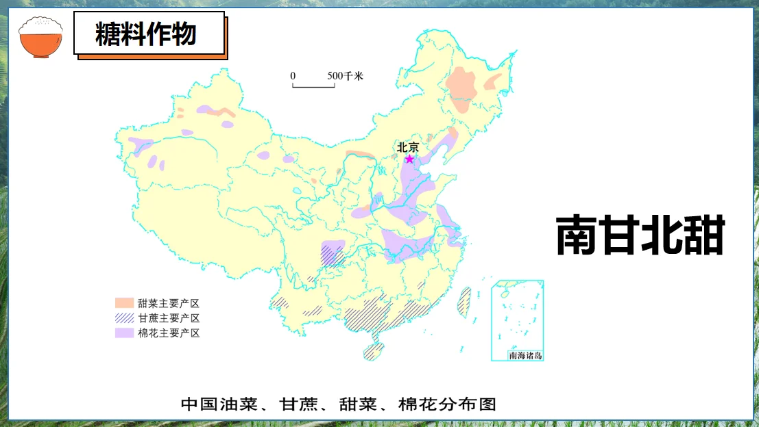 八上4.1中国的农业自用课件分享