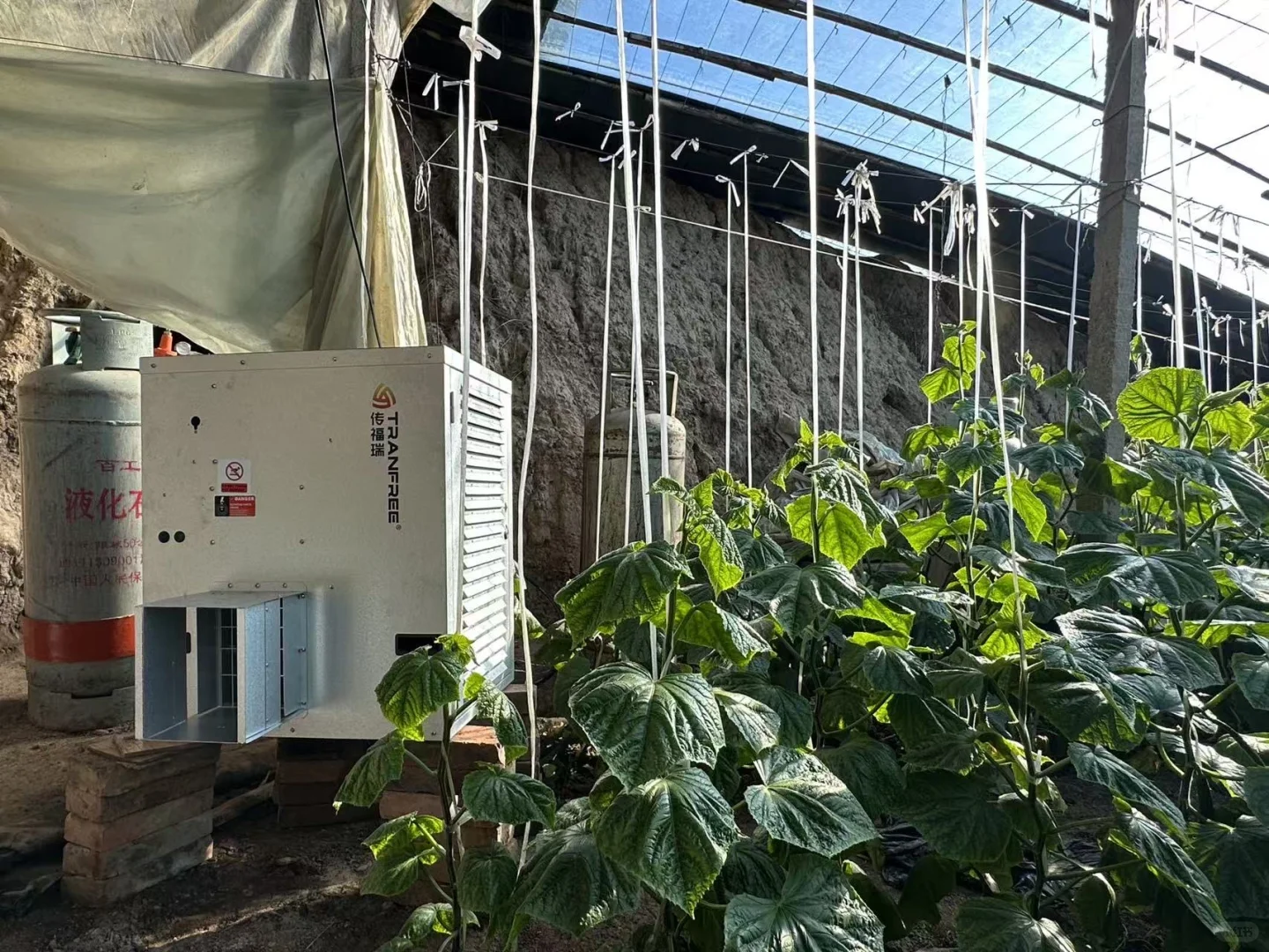 ?省爆！燃气暖风机让大棚冬天也能赚翻！