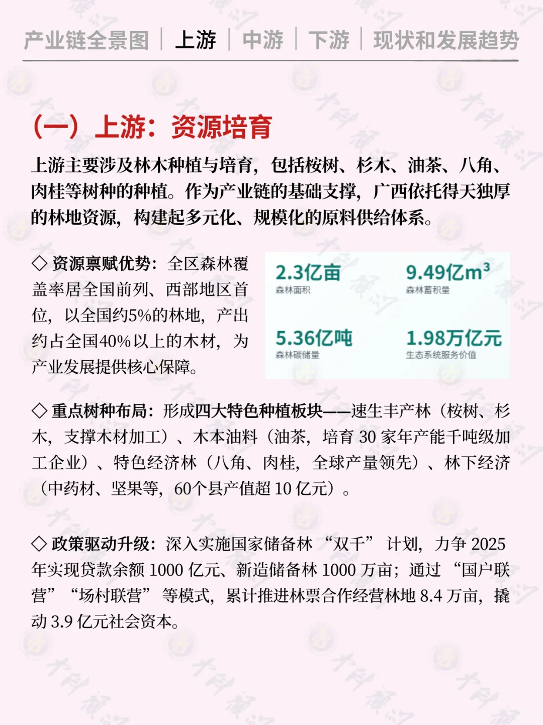 ?每天吃透一条广西产业链 林业