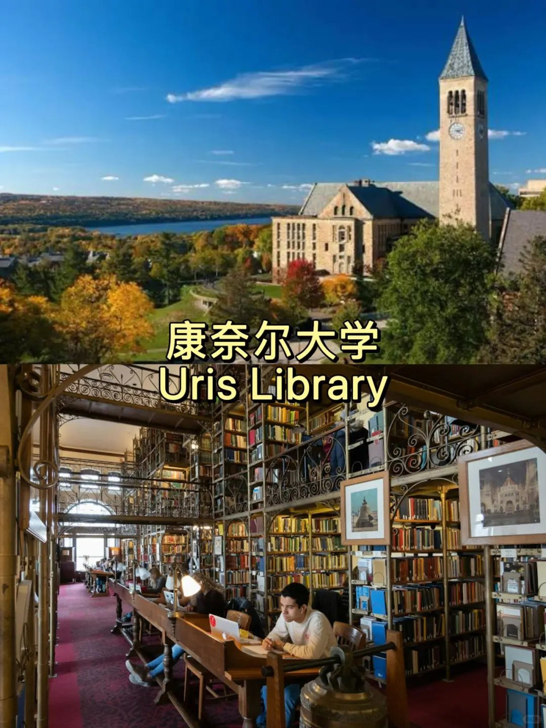 美国大学校园篇✨高颜值图书馆盘点