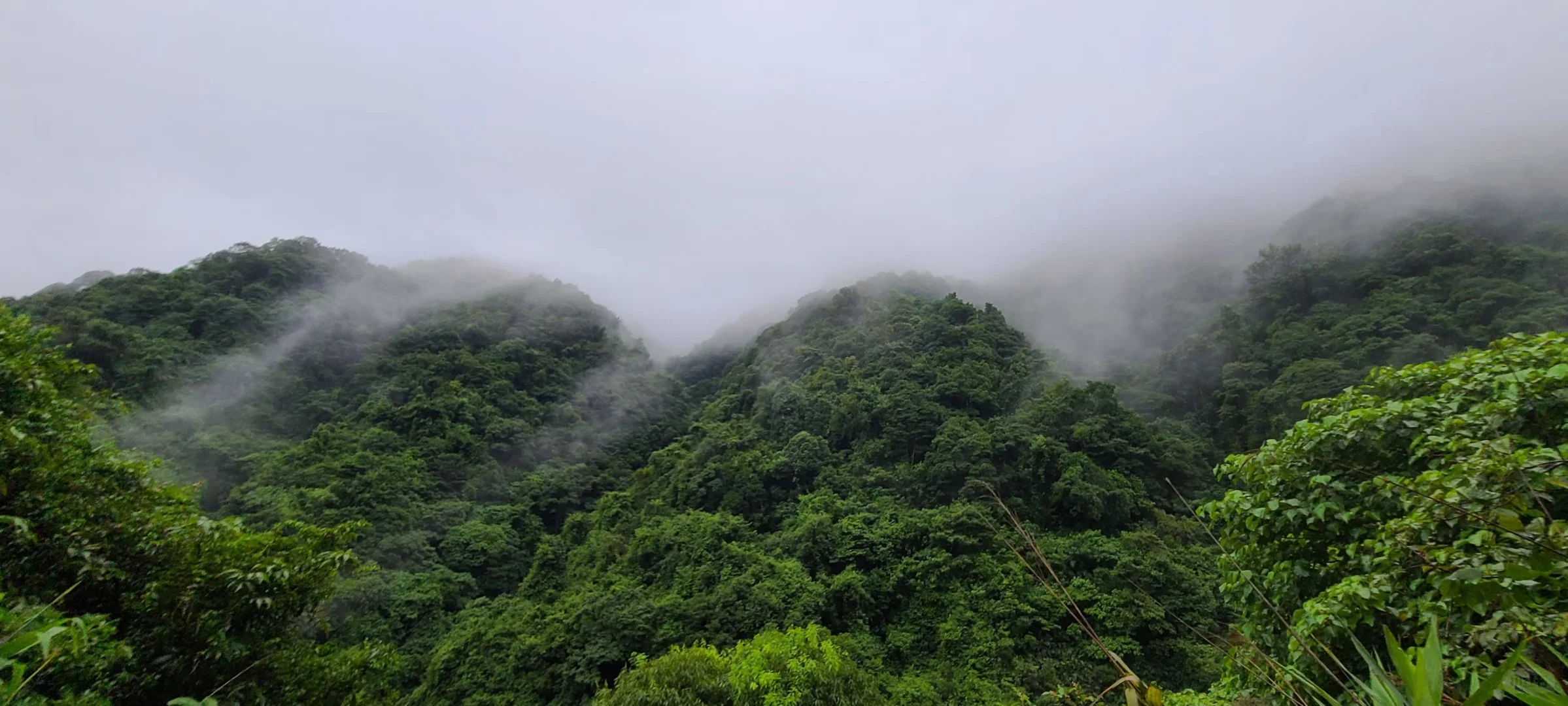 使用林地可行性报告兼职