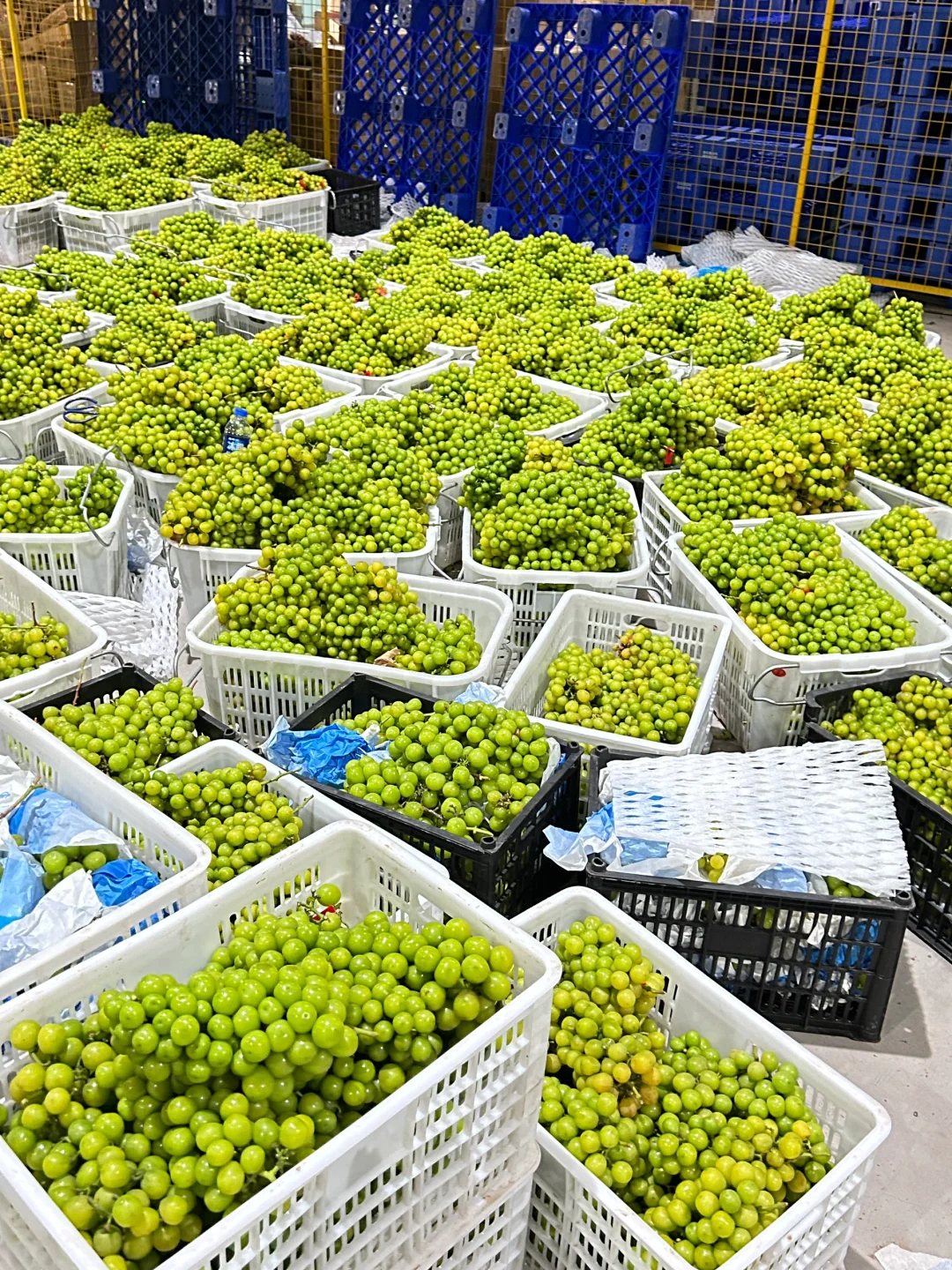 就算是拿去丢。。。 也不拿来卖?