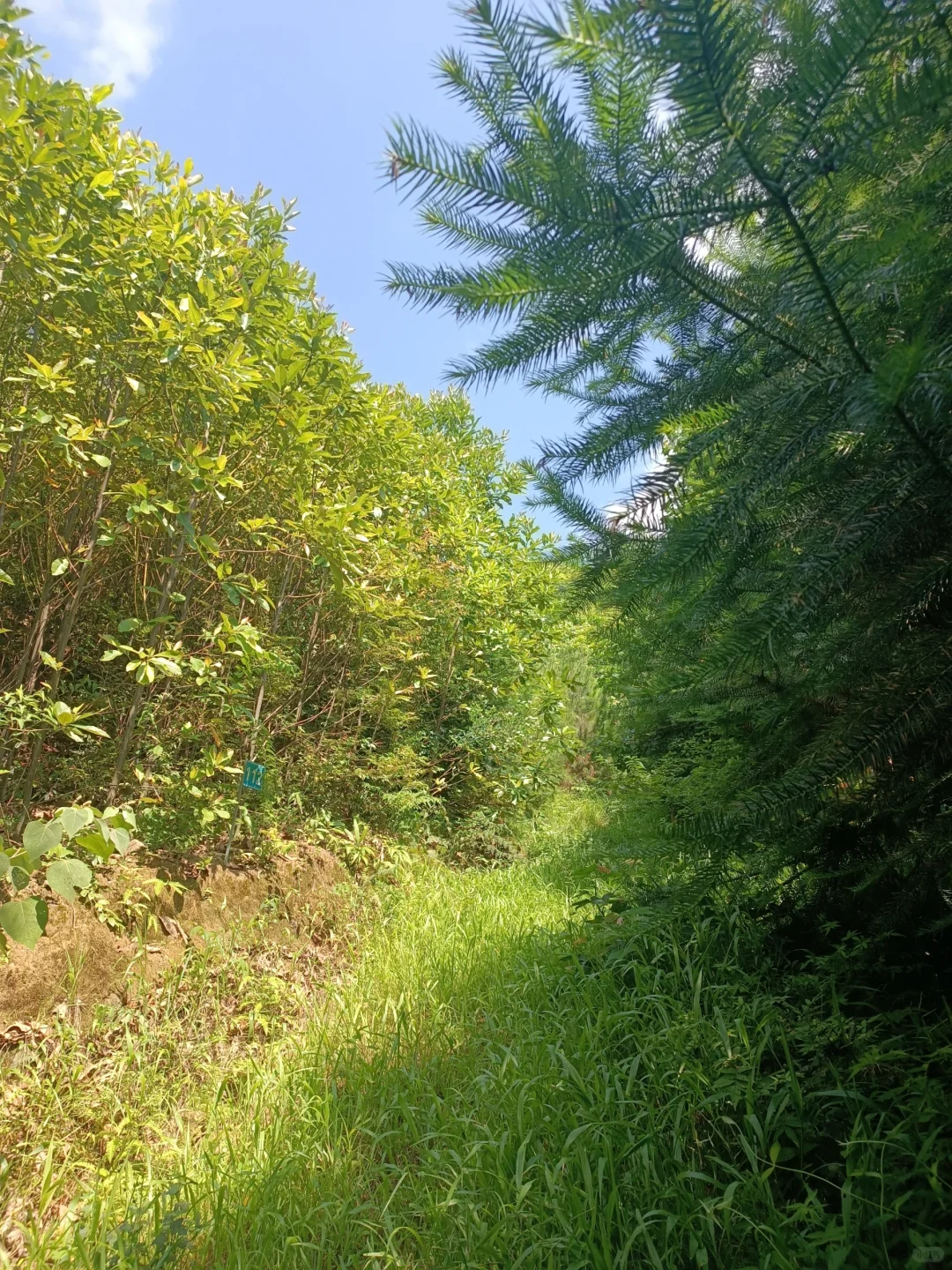 一般人真心不要读林学