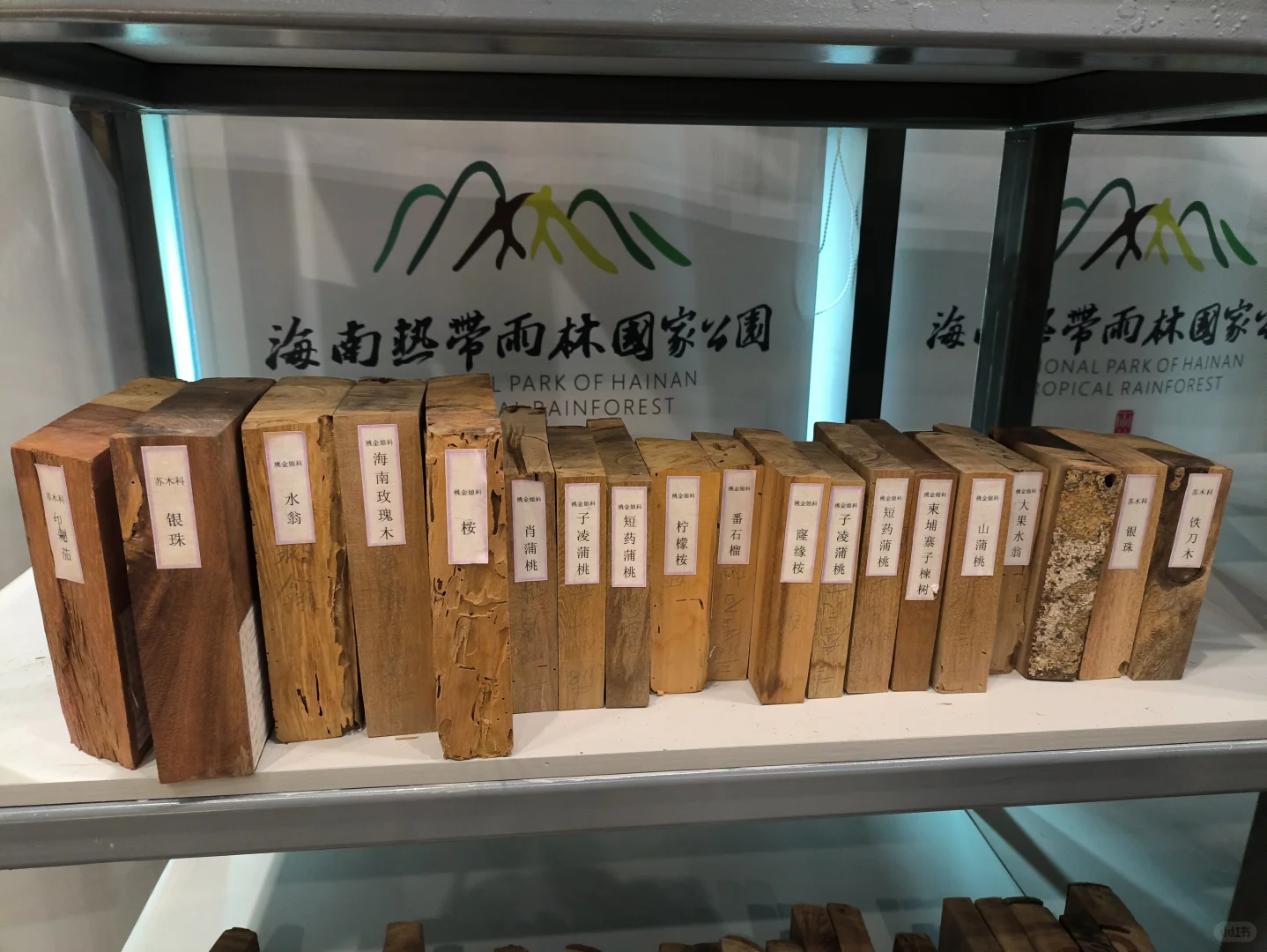 学林业的女人一生也该结四次婚～