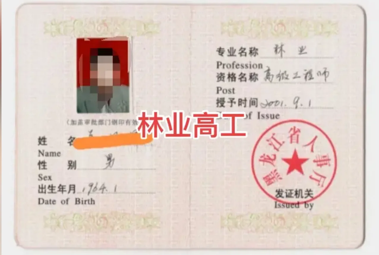 高级林业 不限地区