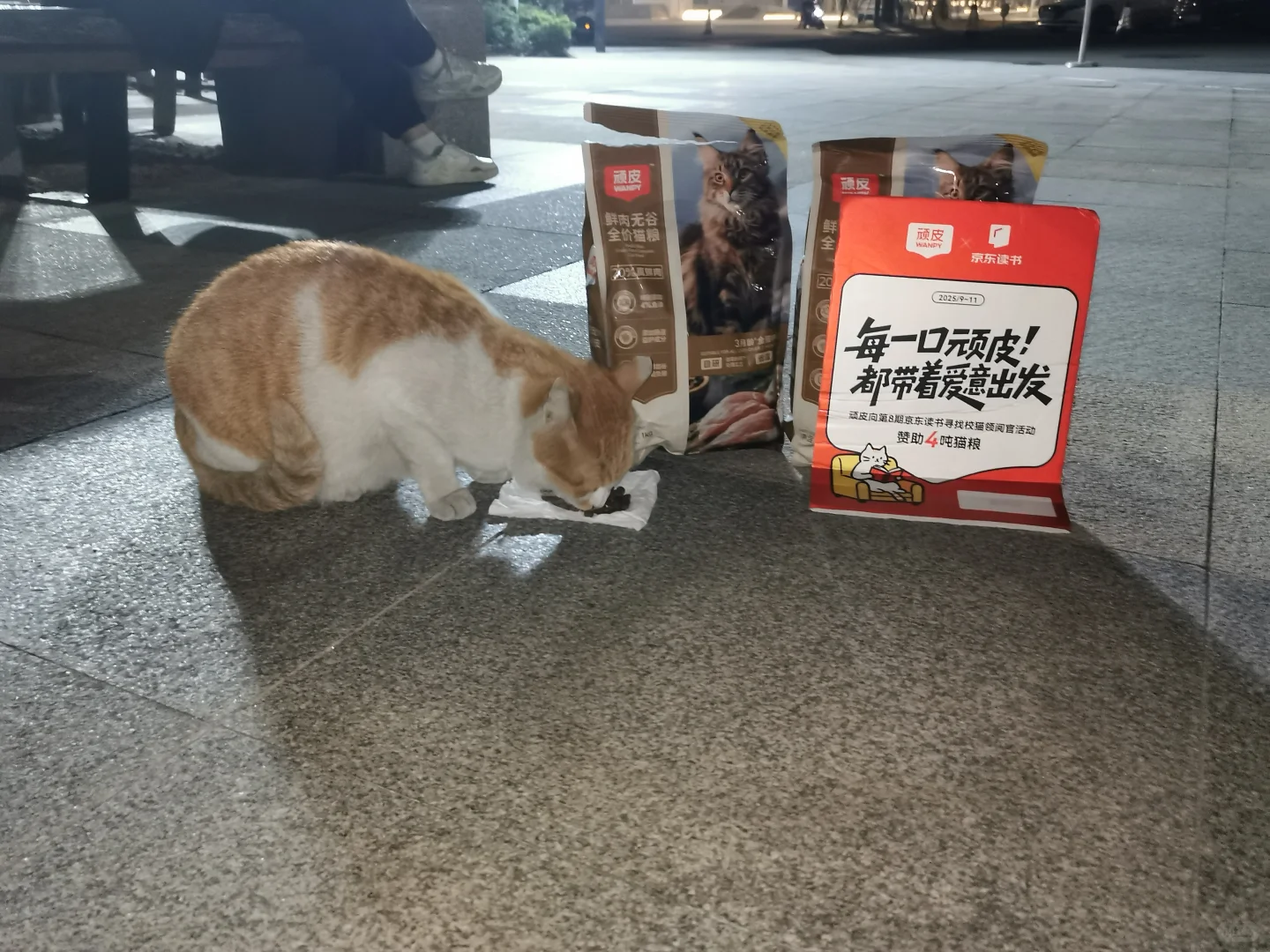 馆长又在图书馆巡逻了