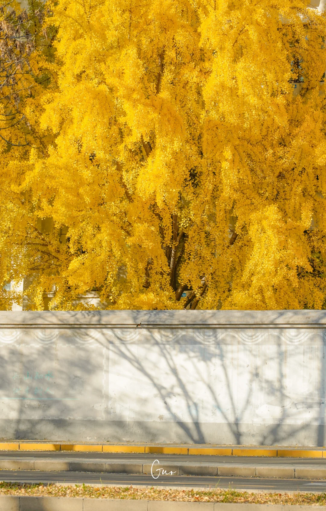 留住秋天的一百种方式