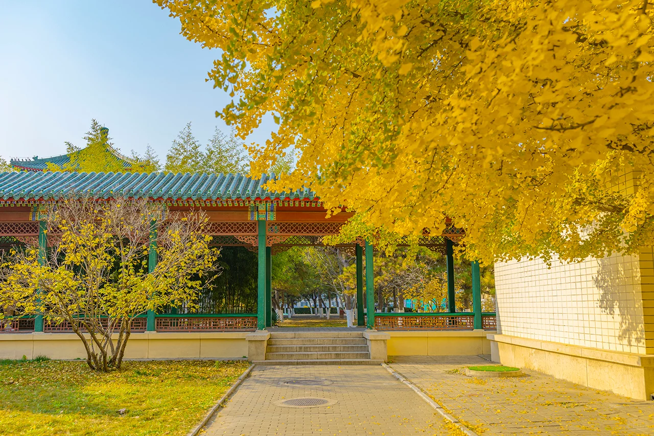 11.19全国农业展览馆｜打卡北京最后的秋天