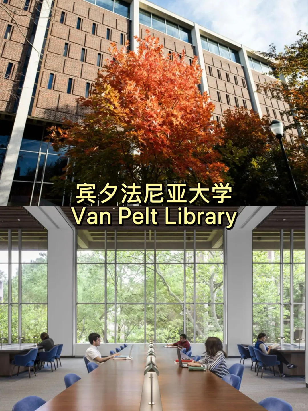 美国大学校园篇✨高颜值图书馆盘点