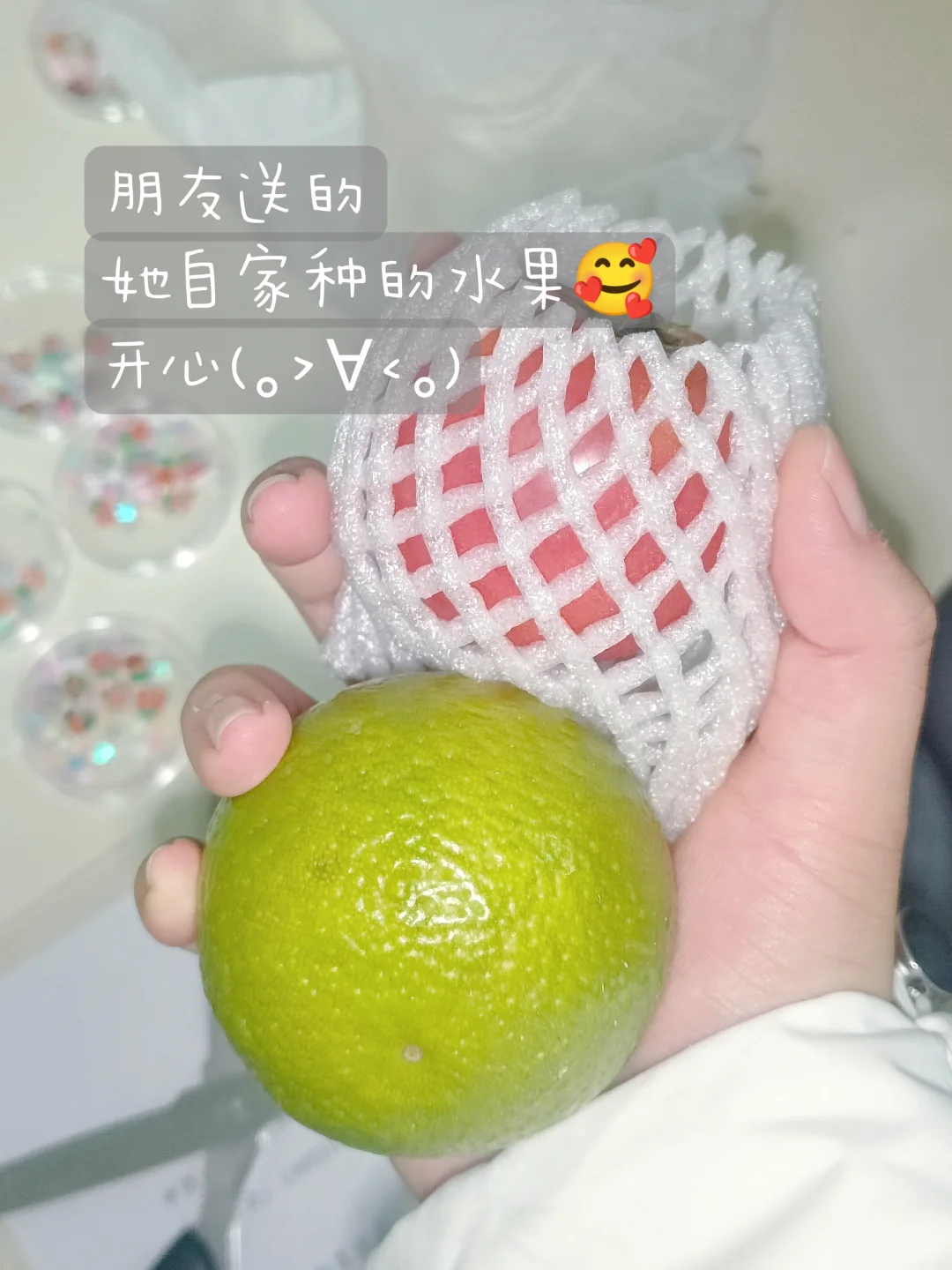 北林研一｜一日Plog.