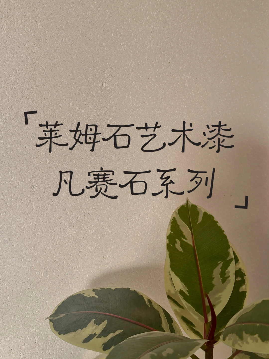 斯塔万格莱姆石艺术涂料，质感天花板！