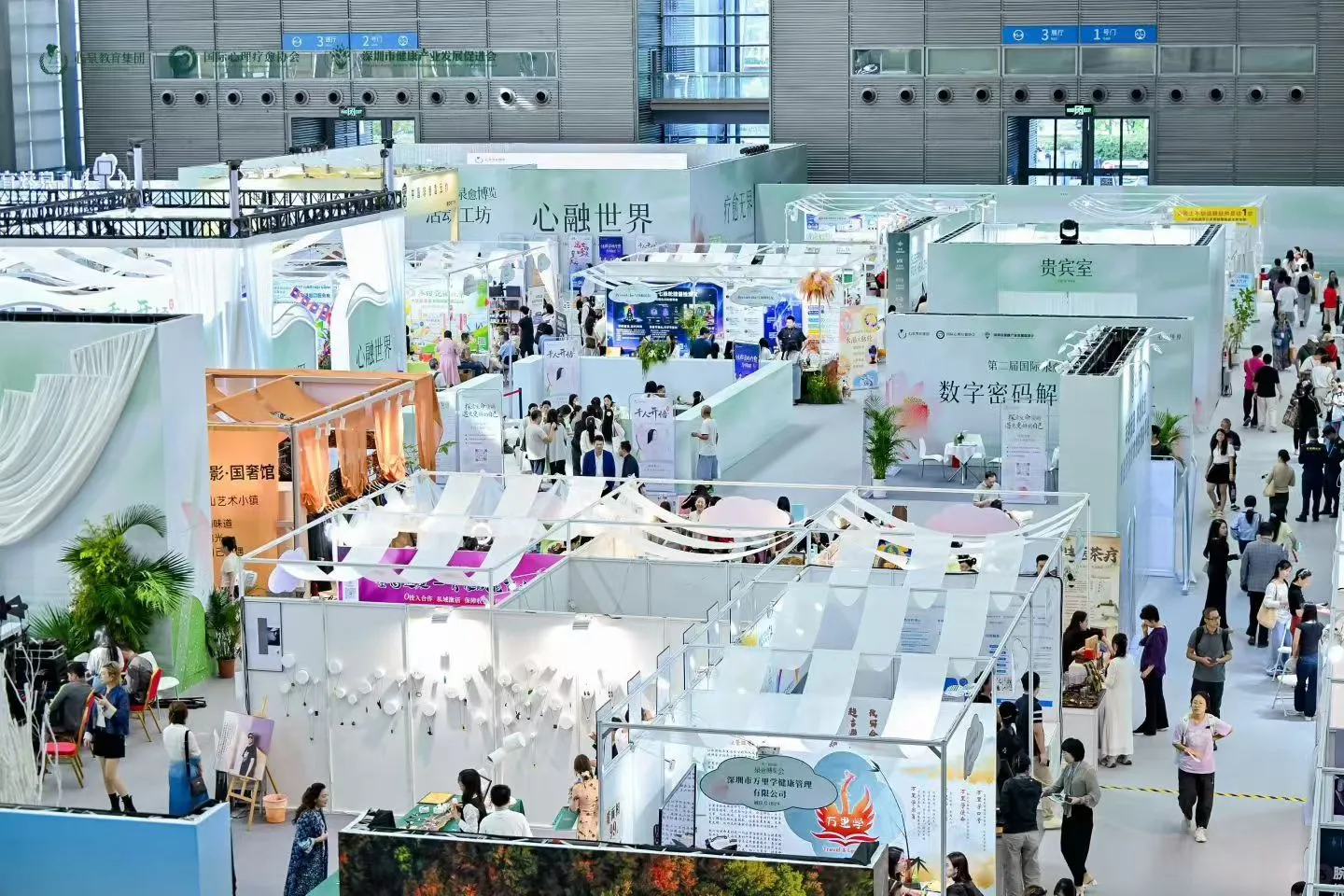 第二届国际泉愈博览会盛大开启，盛况空前