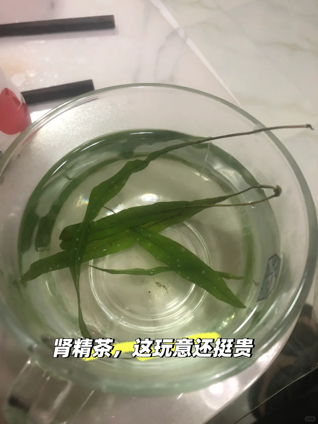 你不知道的长白山林业人